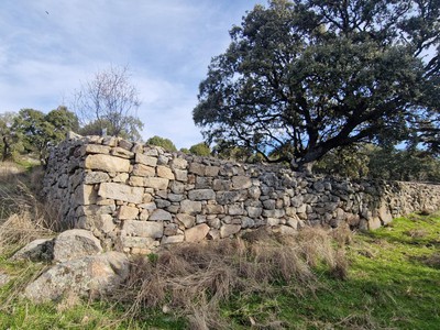 Foto de la ruta