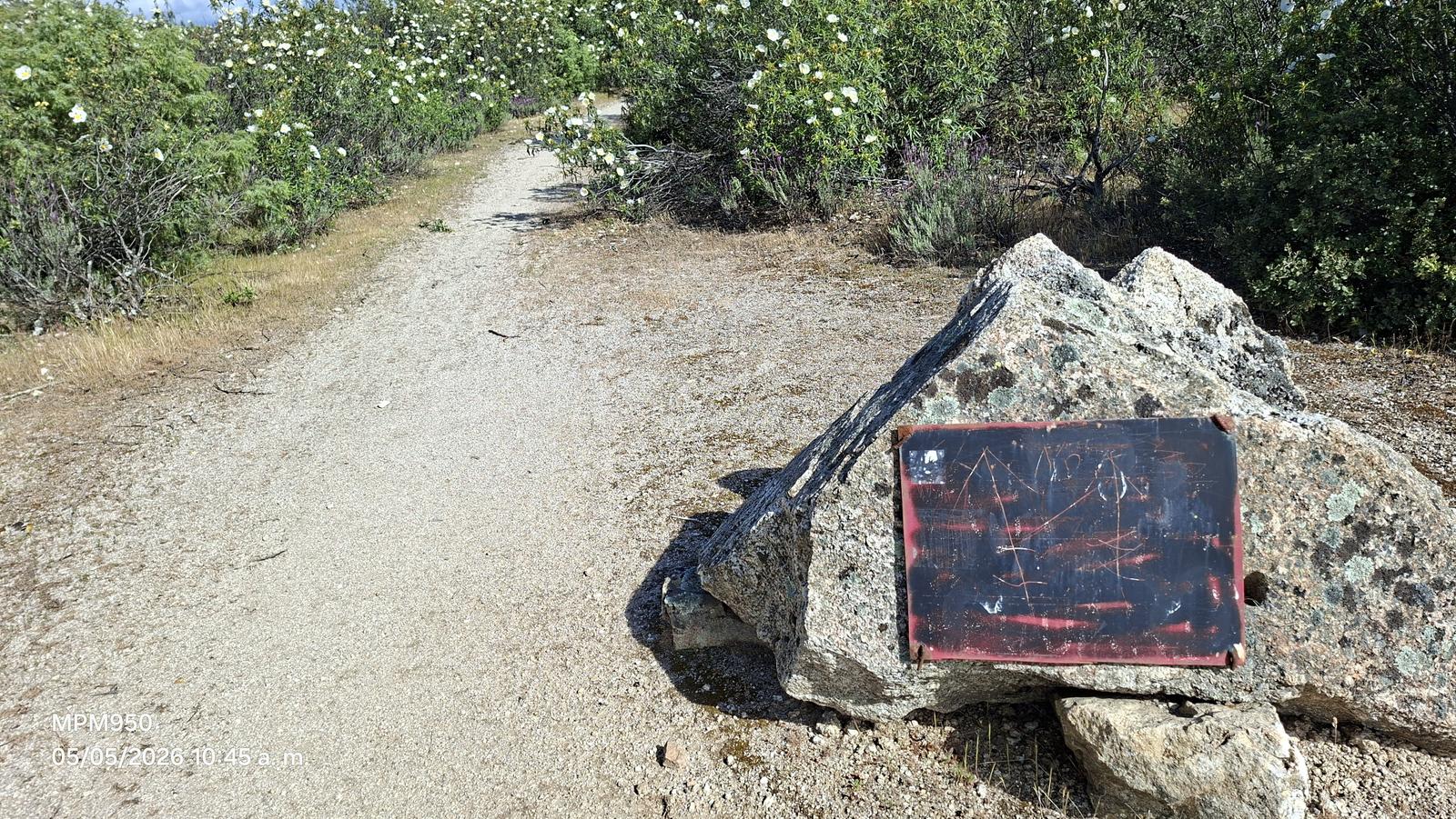 Foto de la ruta