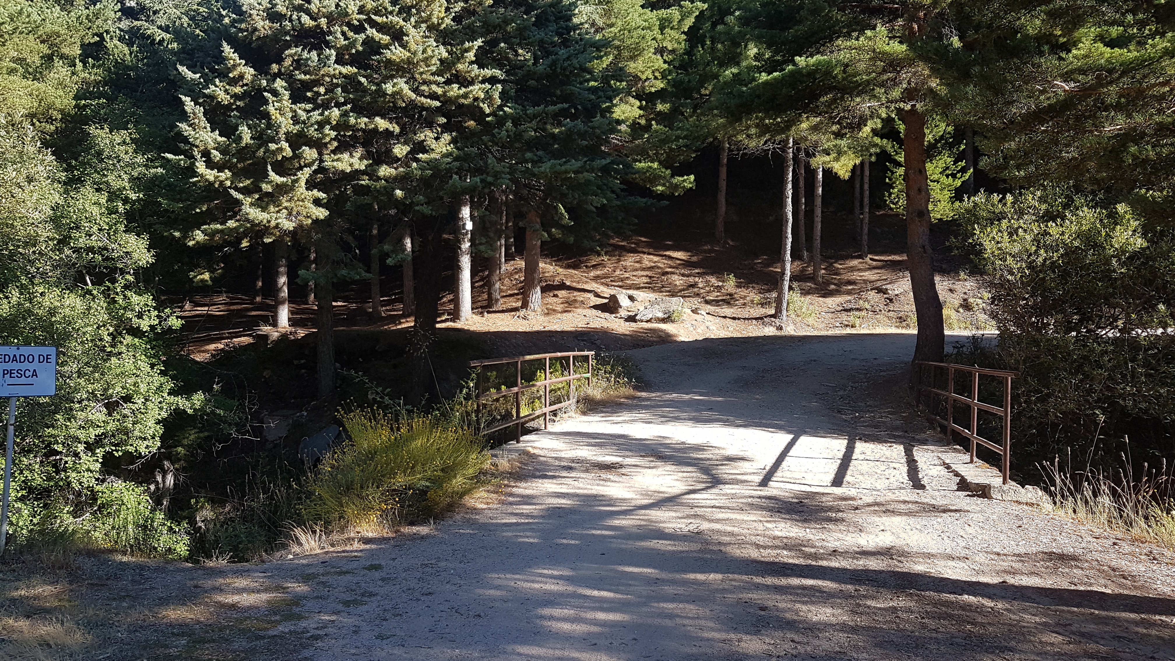 Foto de la ruta