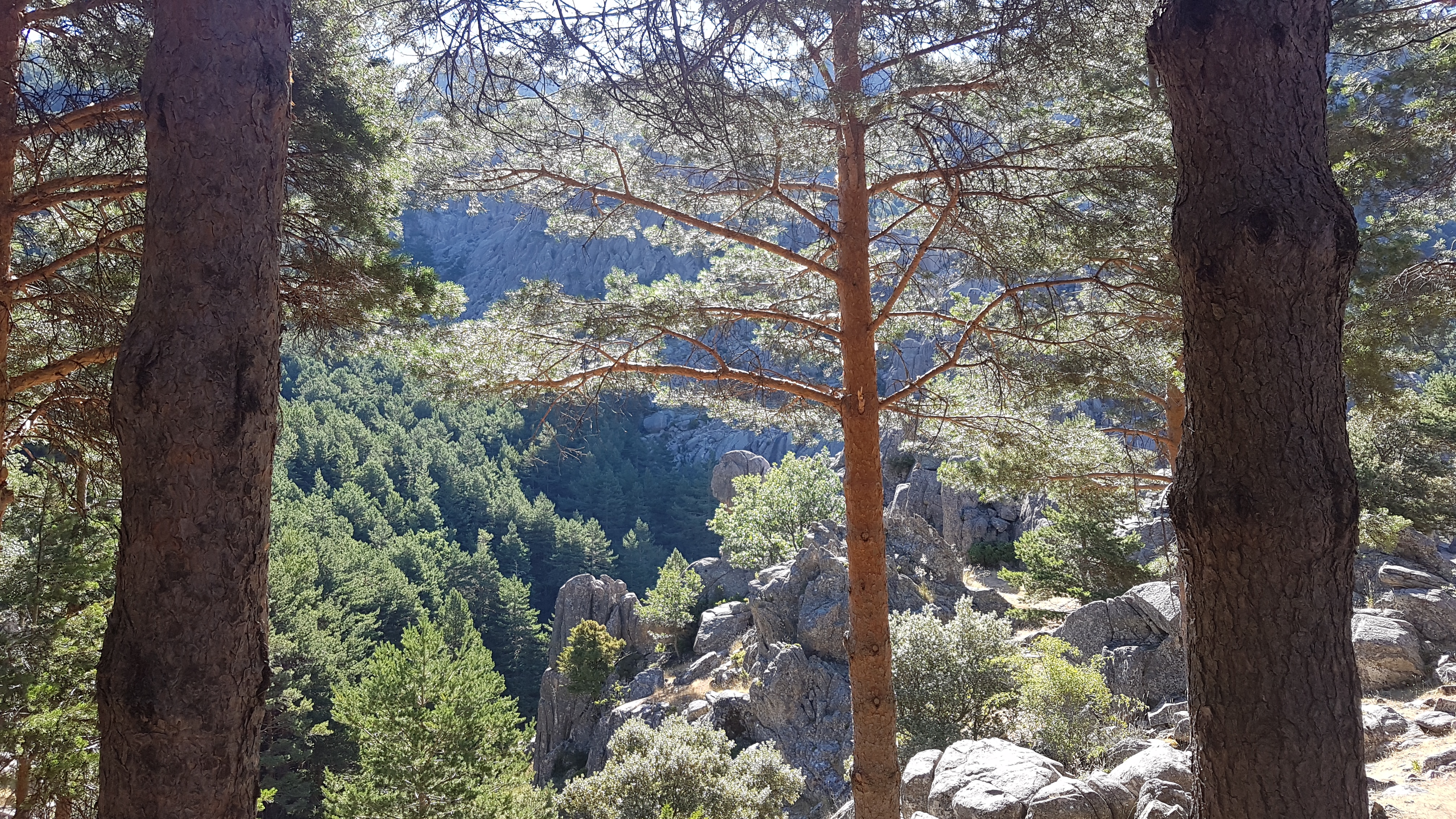 Imagen de ruta