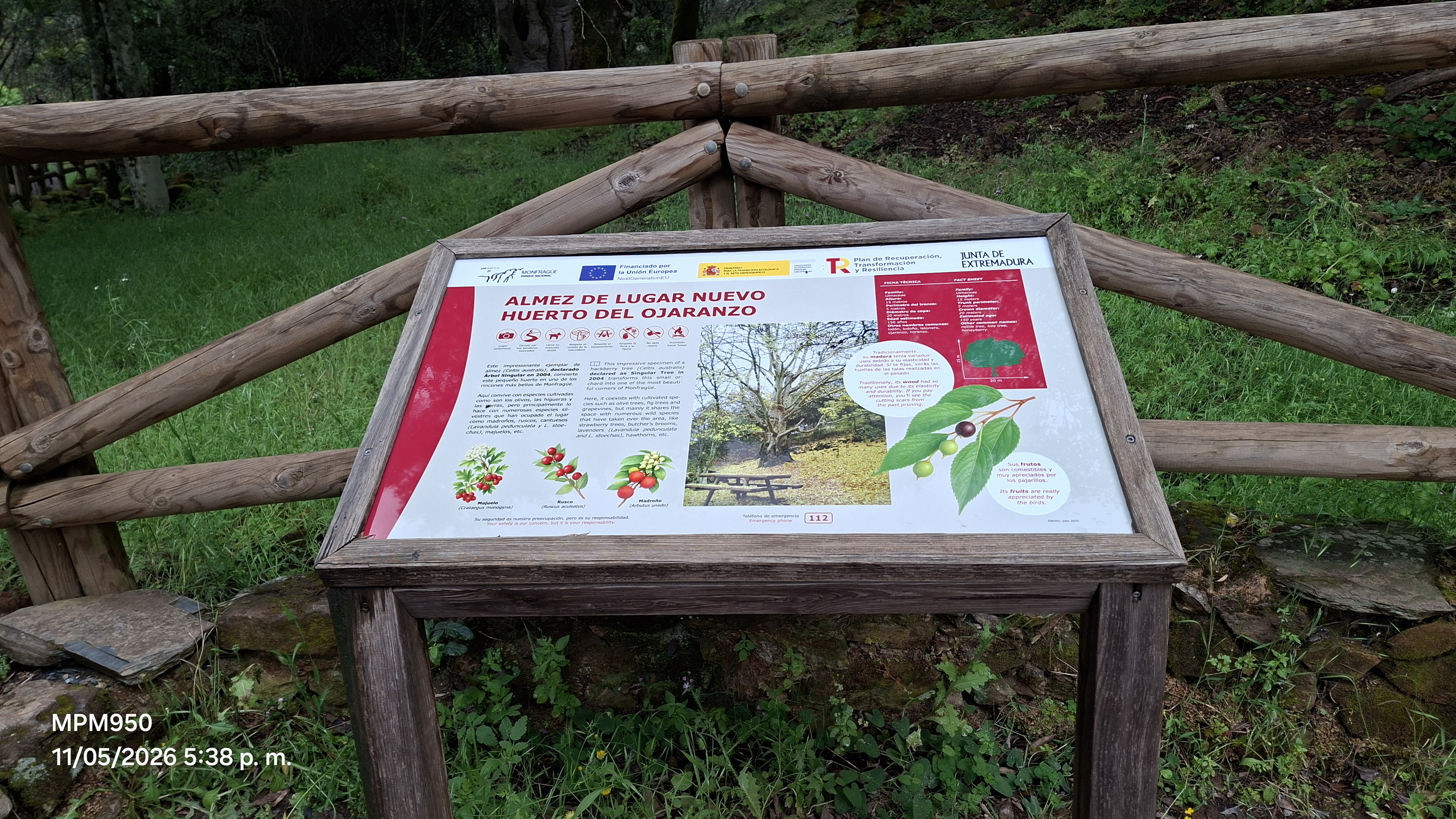 Foto de la ruta