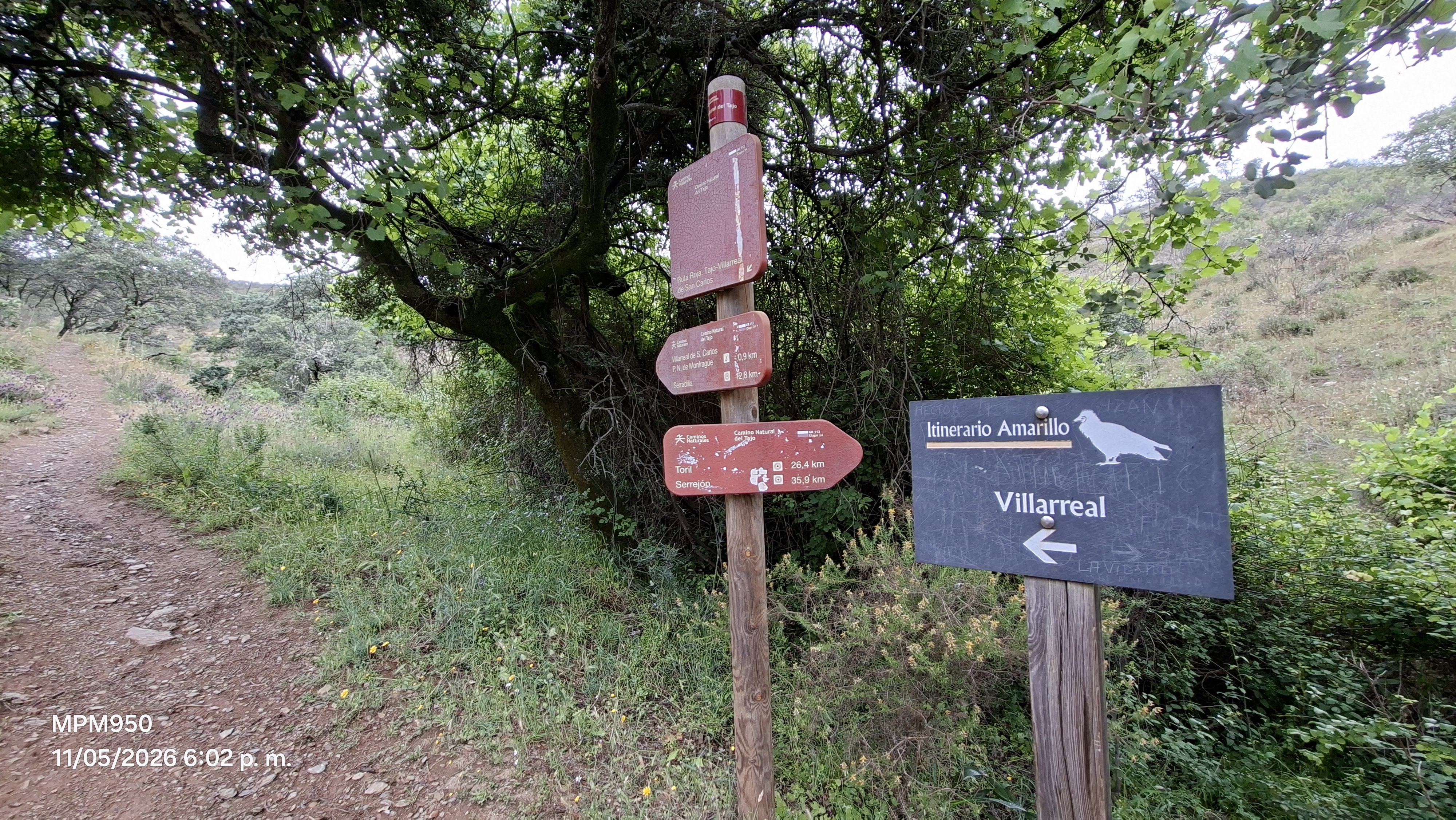 Foto de la ruta