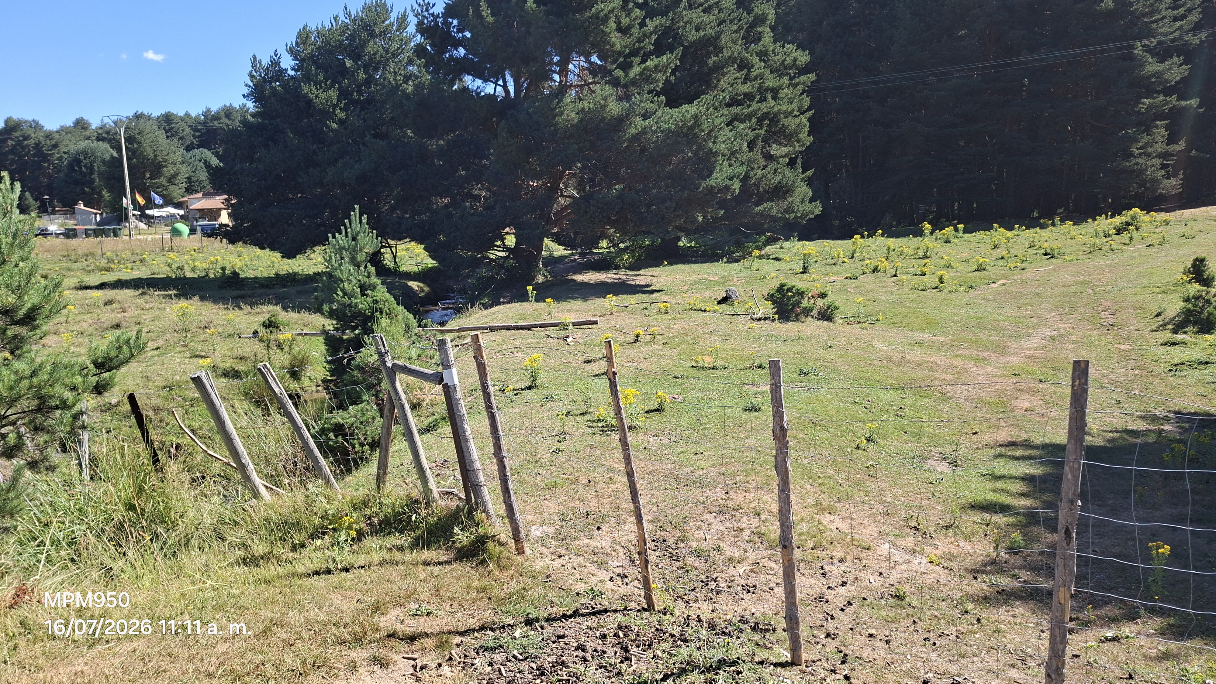 Foto de la ruta