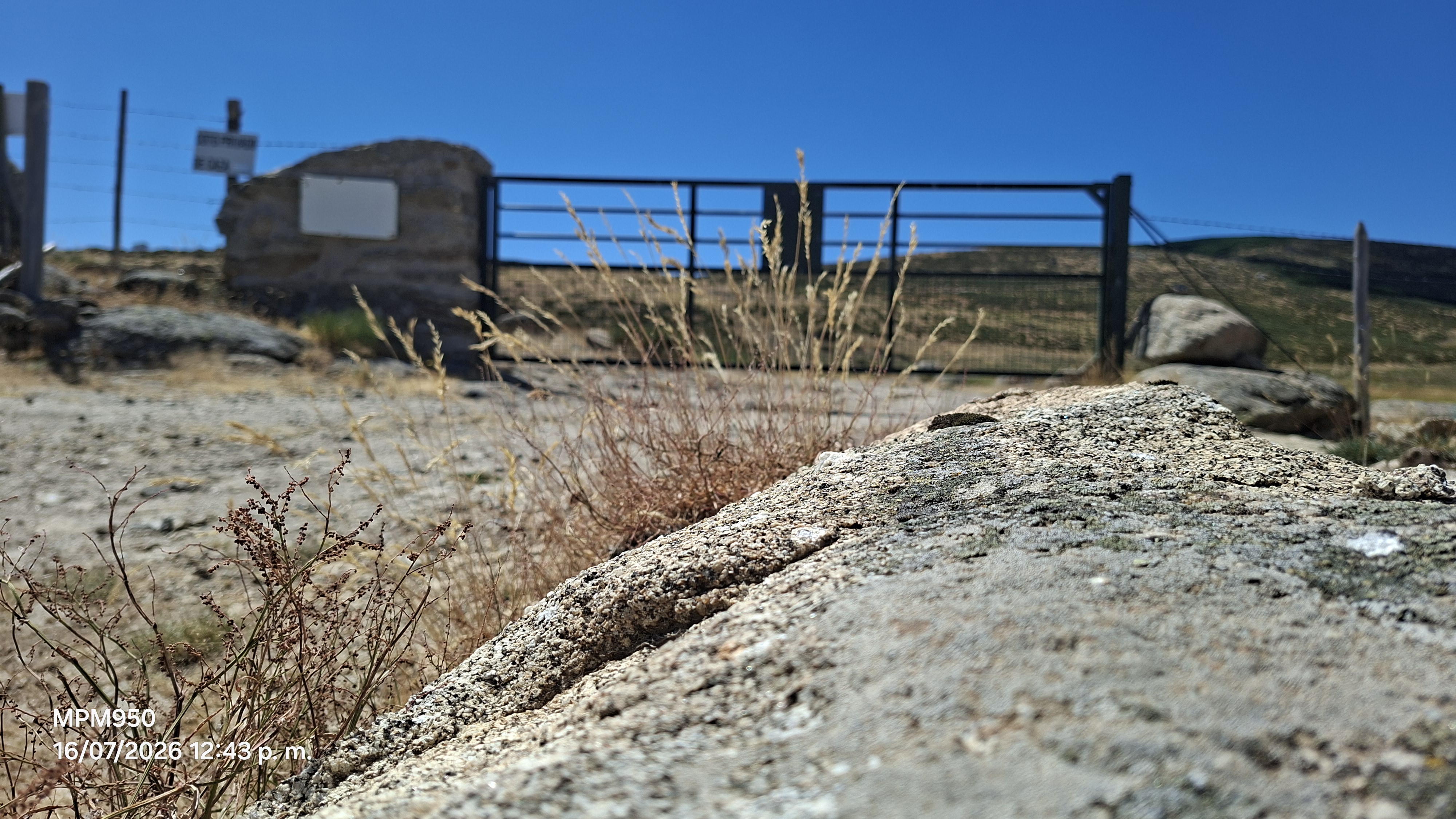 Foto de la ruta