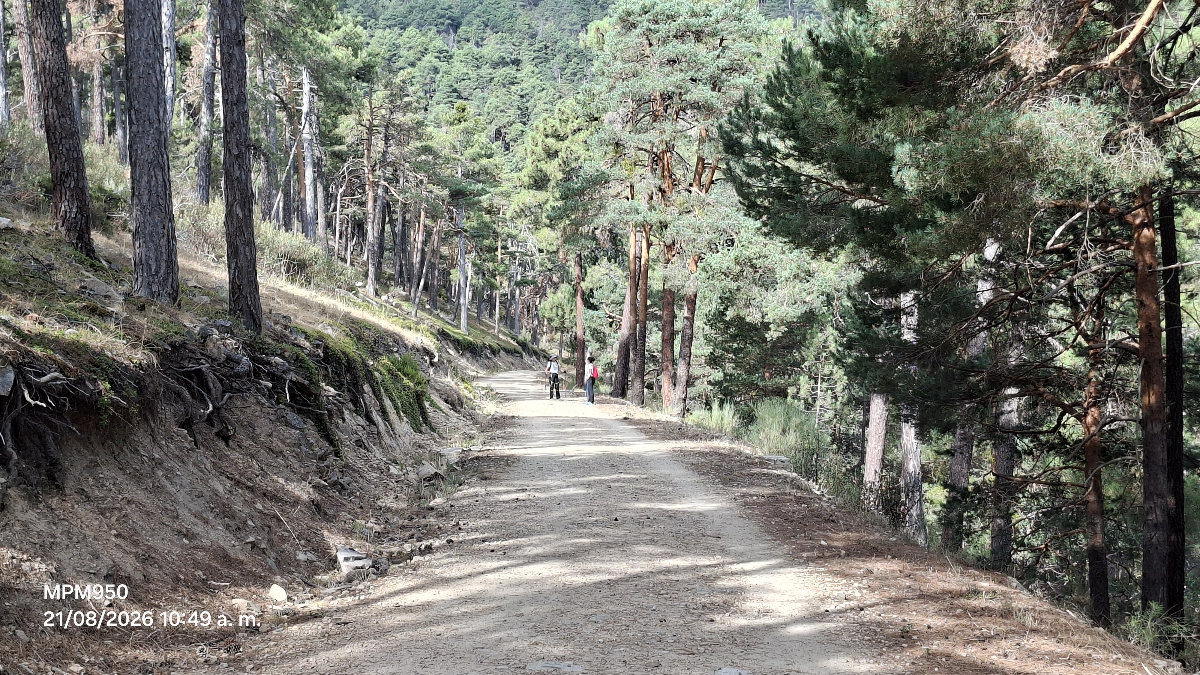 Foto de la ruta