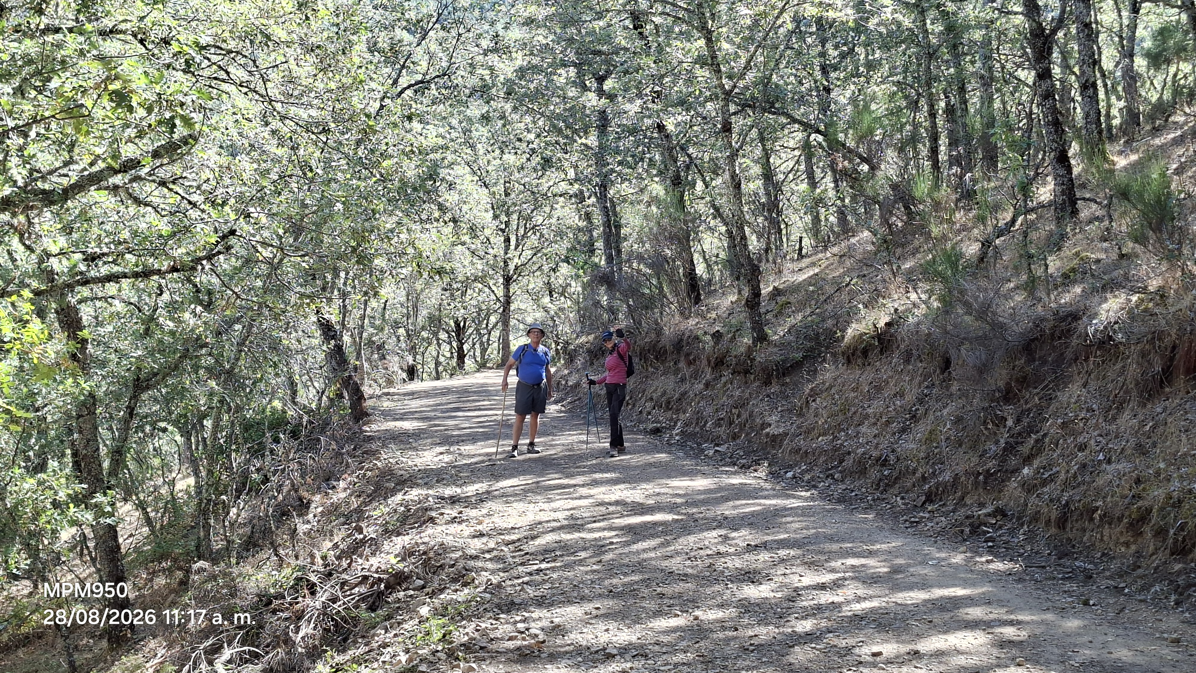 Foto de la ruta