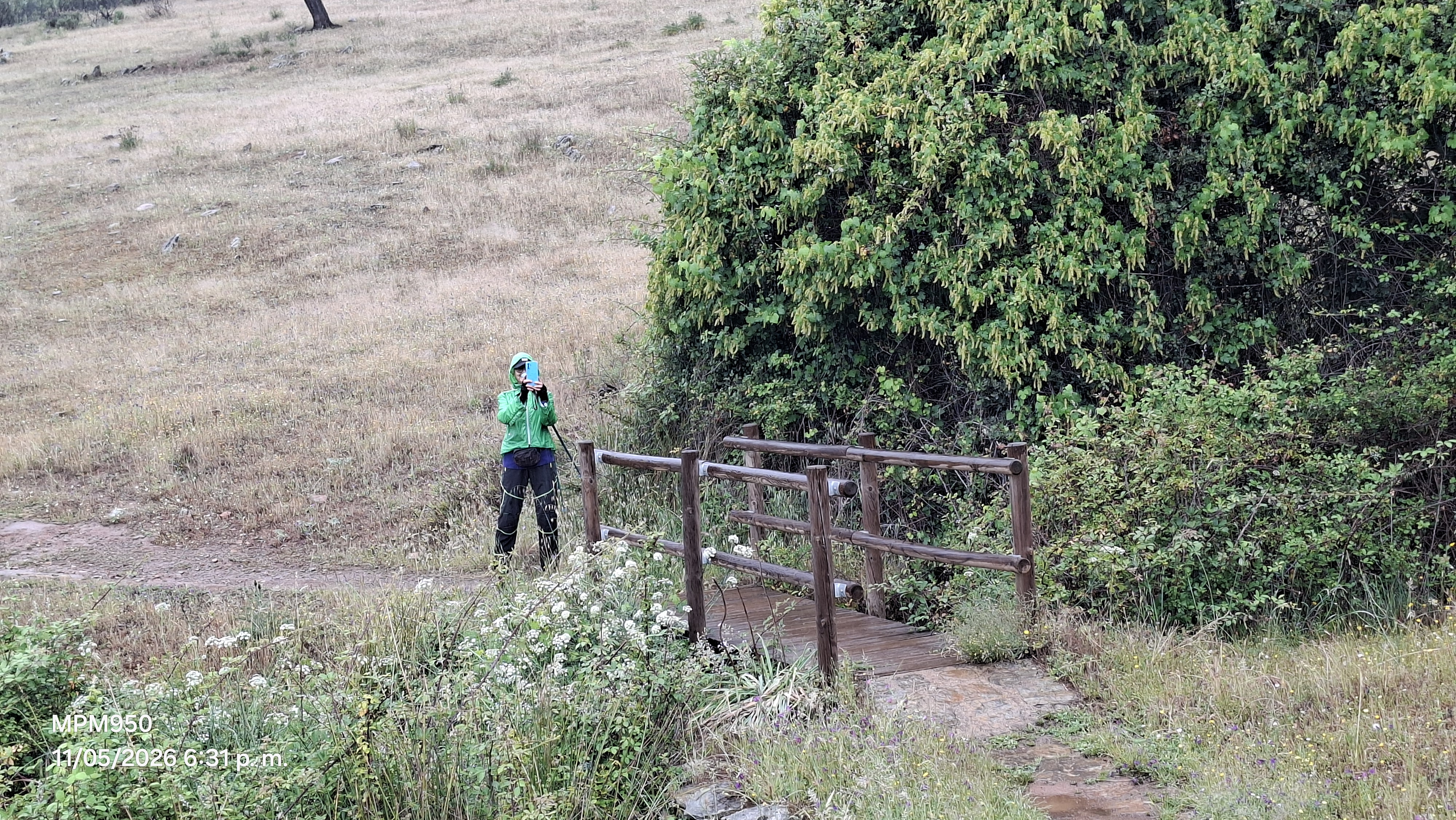 Foto de la ruta