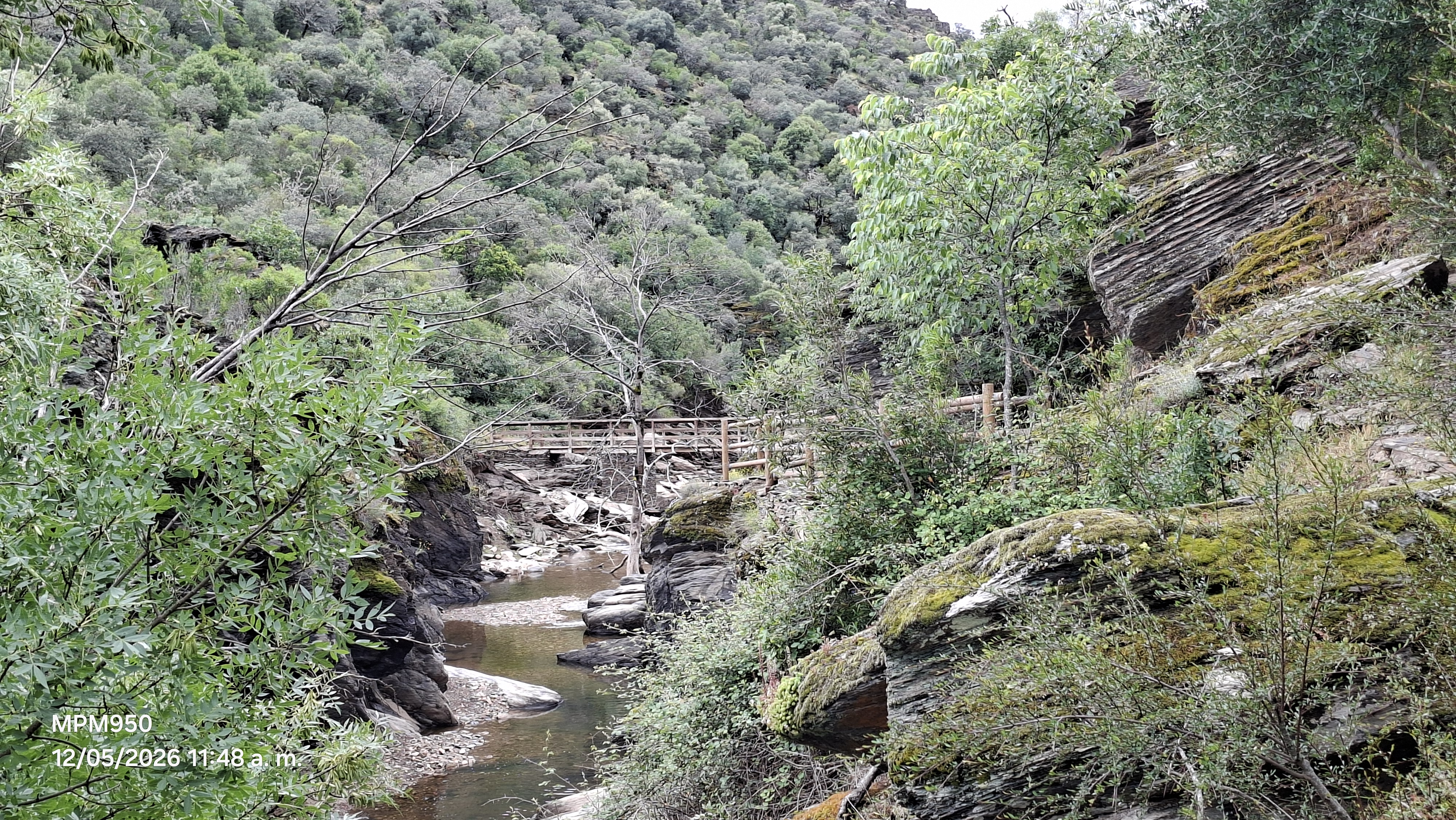 Foto de la ruta