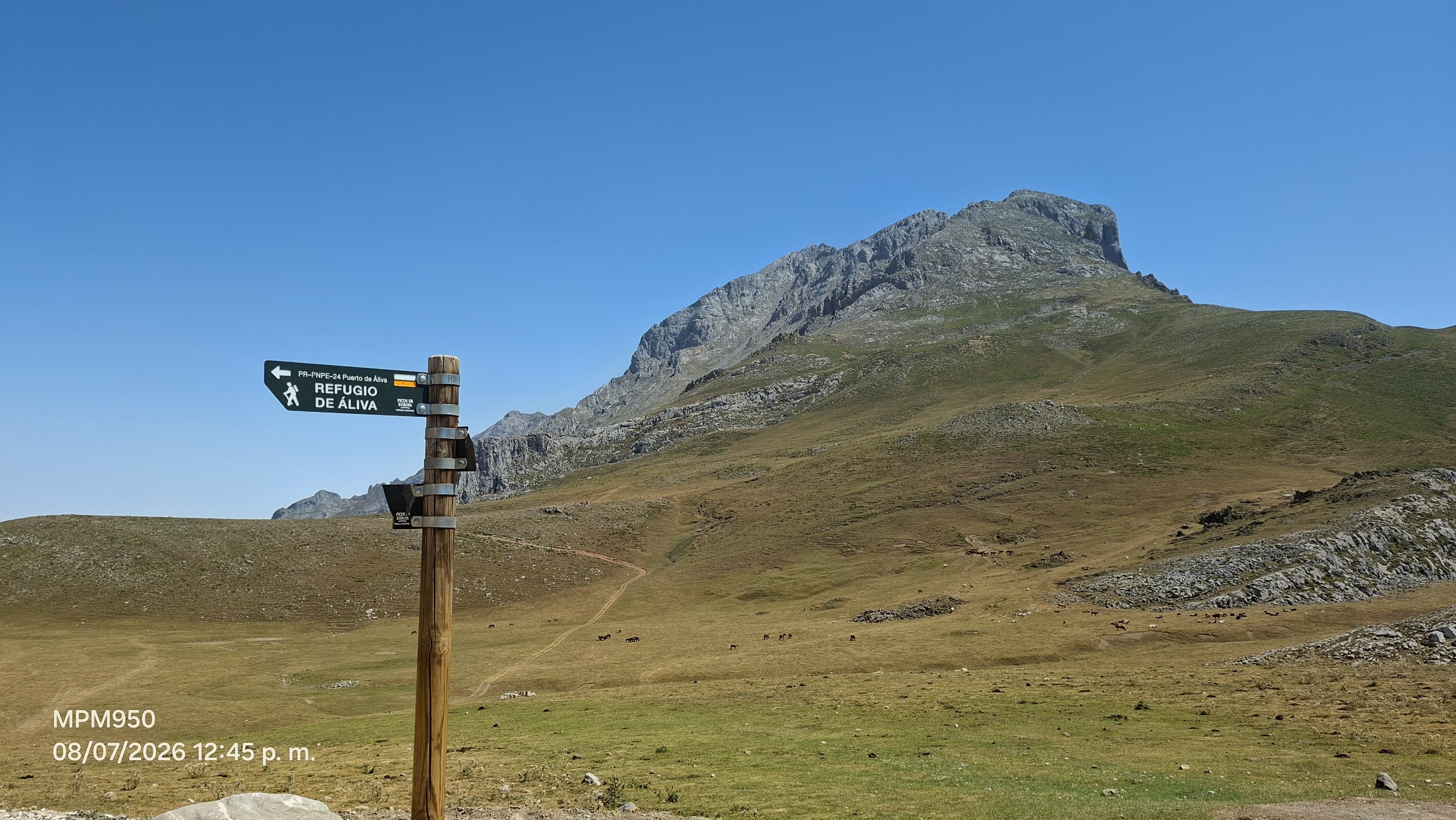 Foto de la ruta