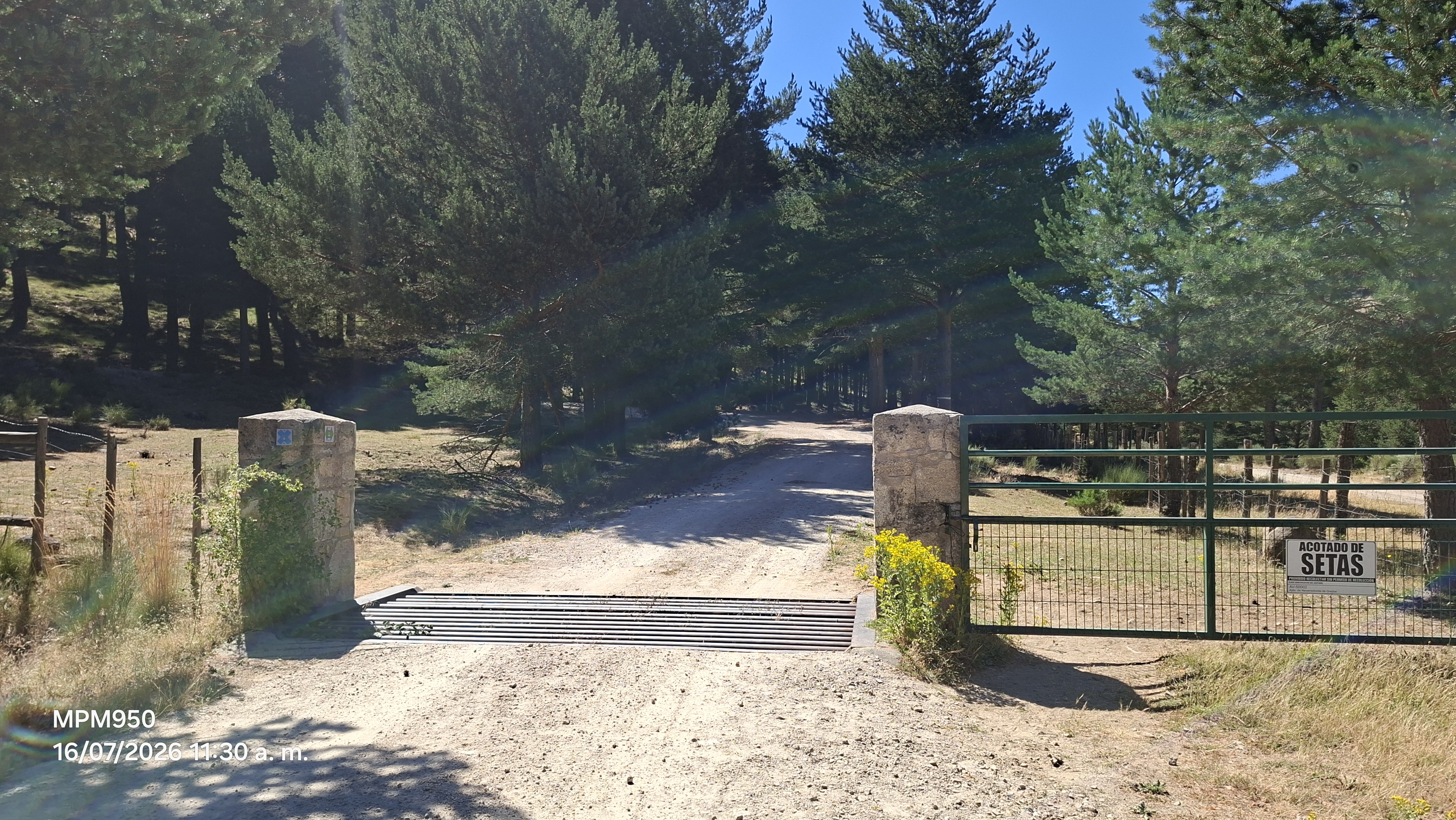 Foto de la ruta
