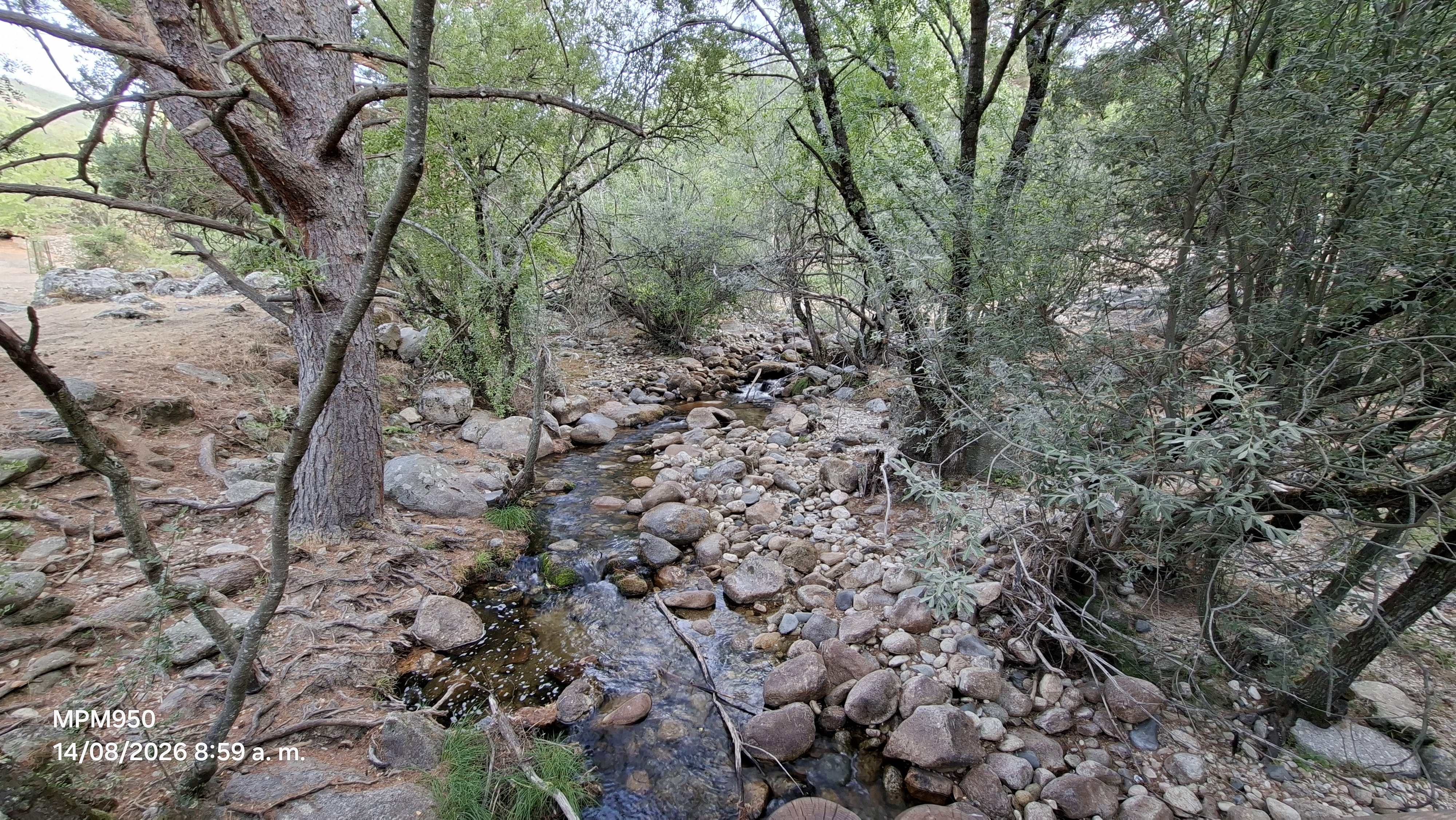 Foto de la ruta