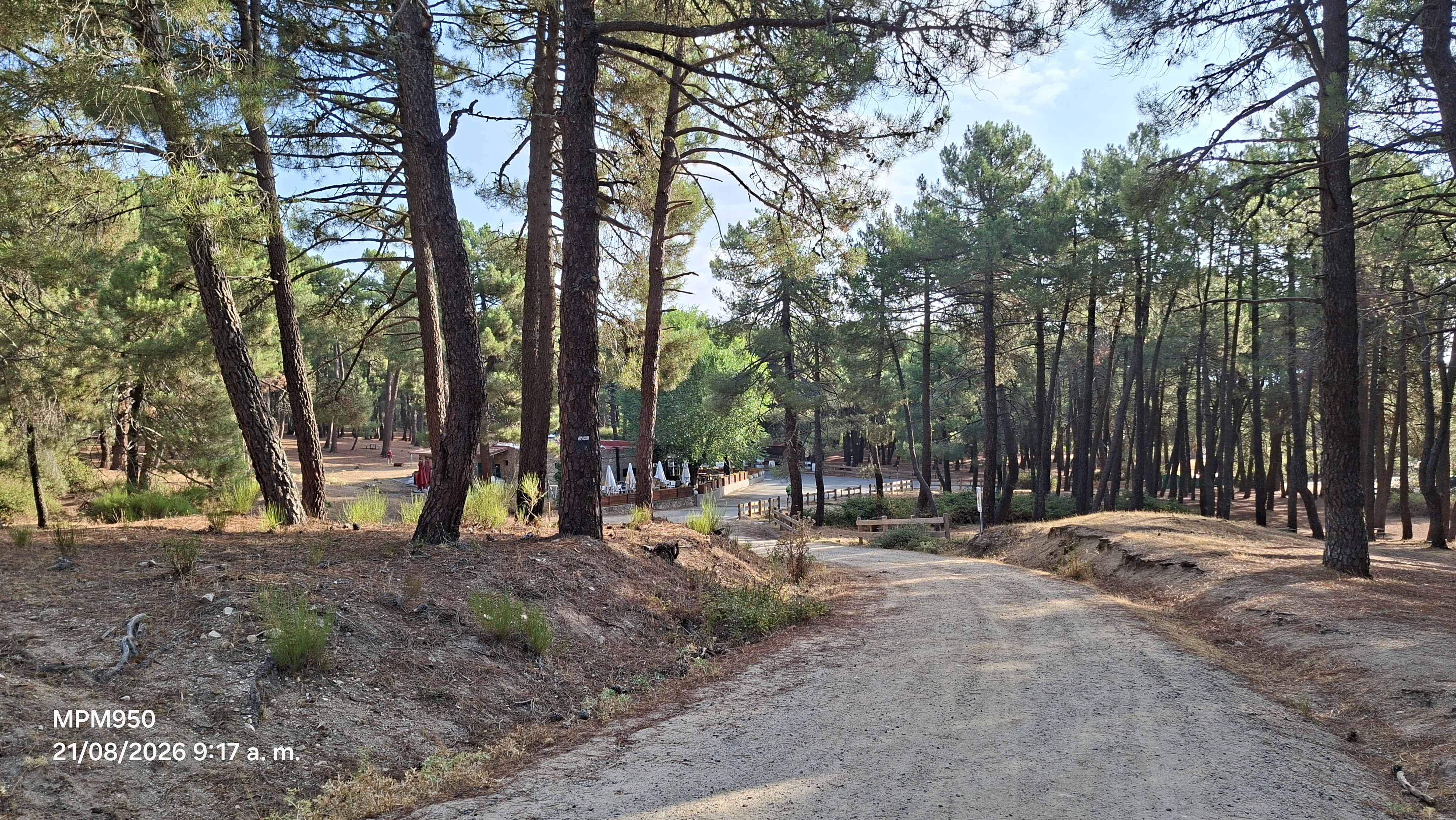 Foto de la ruta