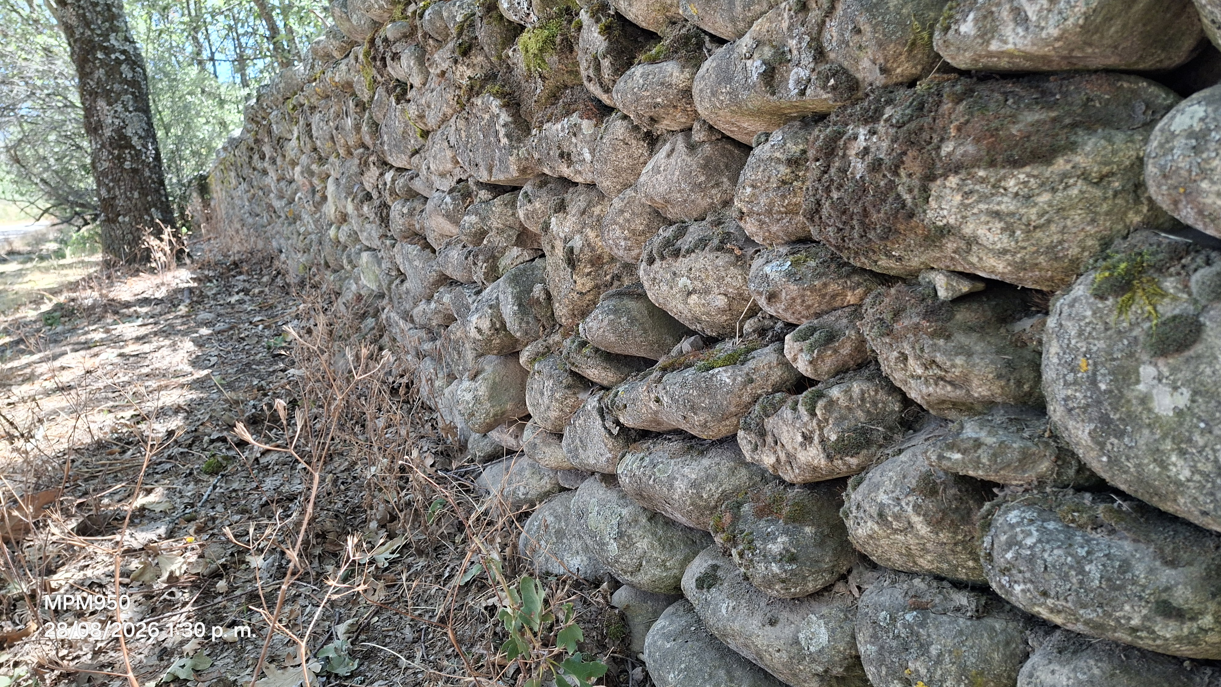 Foto de la ruta