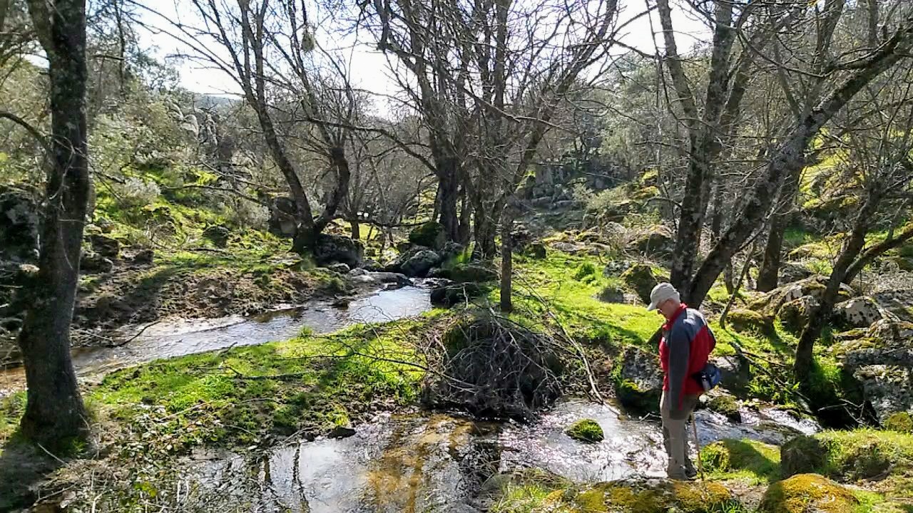 Foto de la ruta
