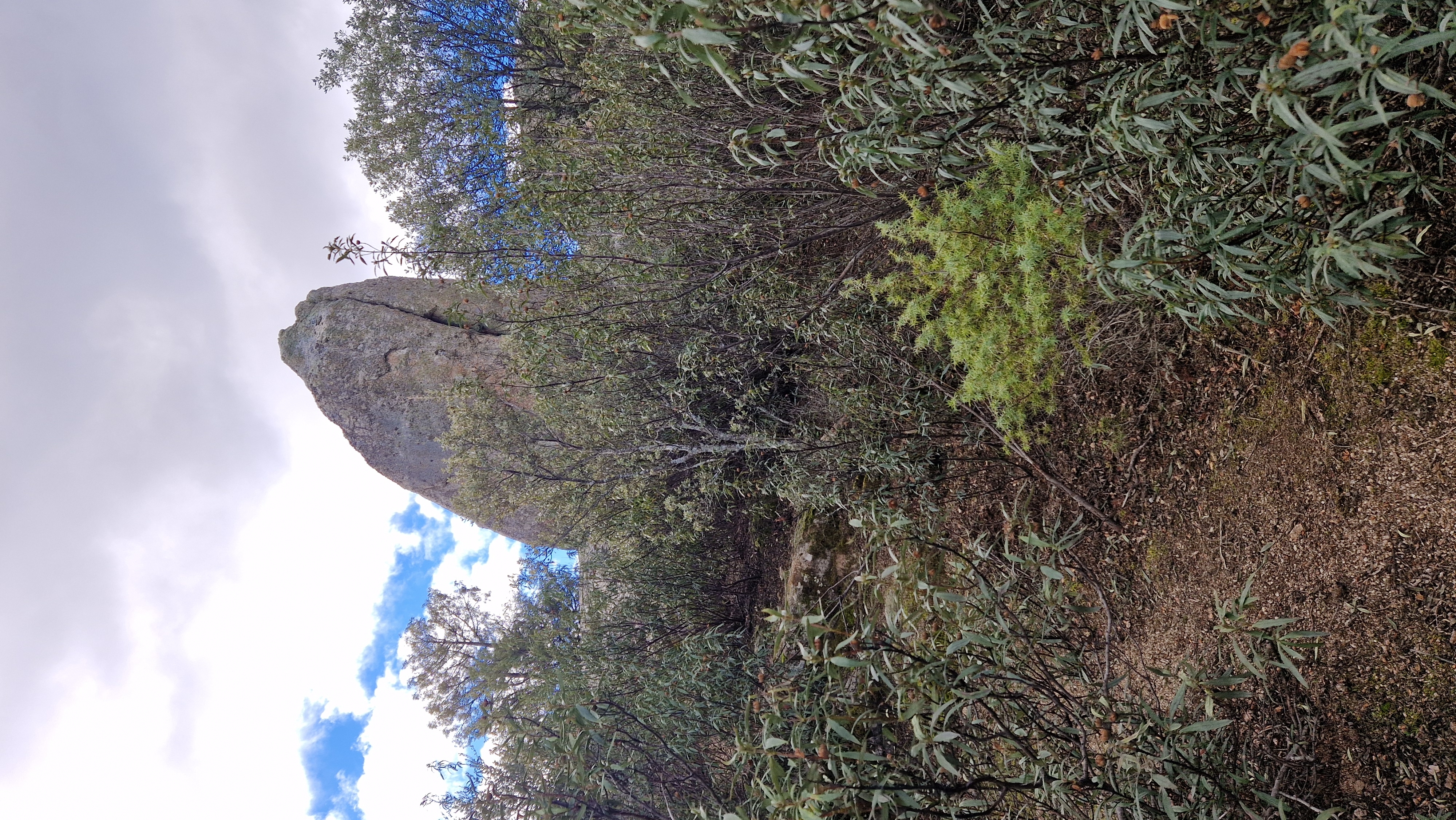 Foto de la ruta