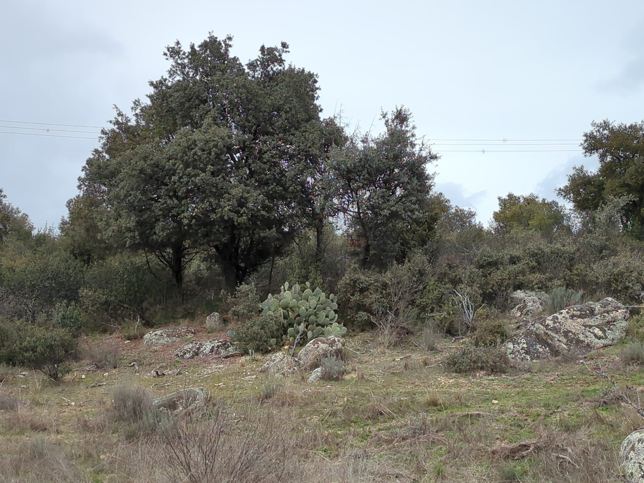 Foto de la ruta