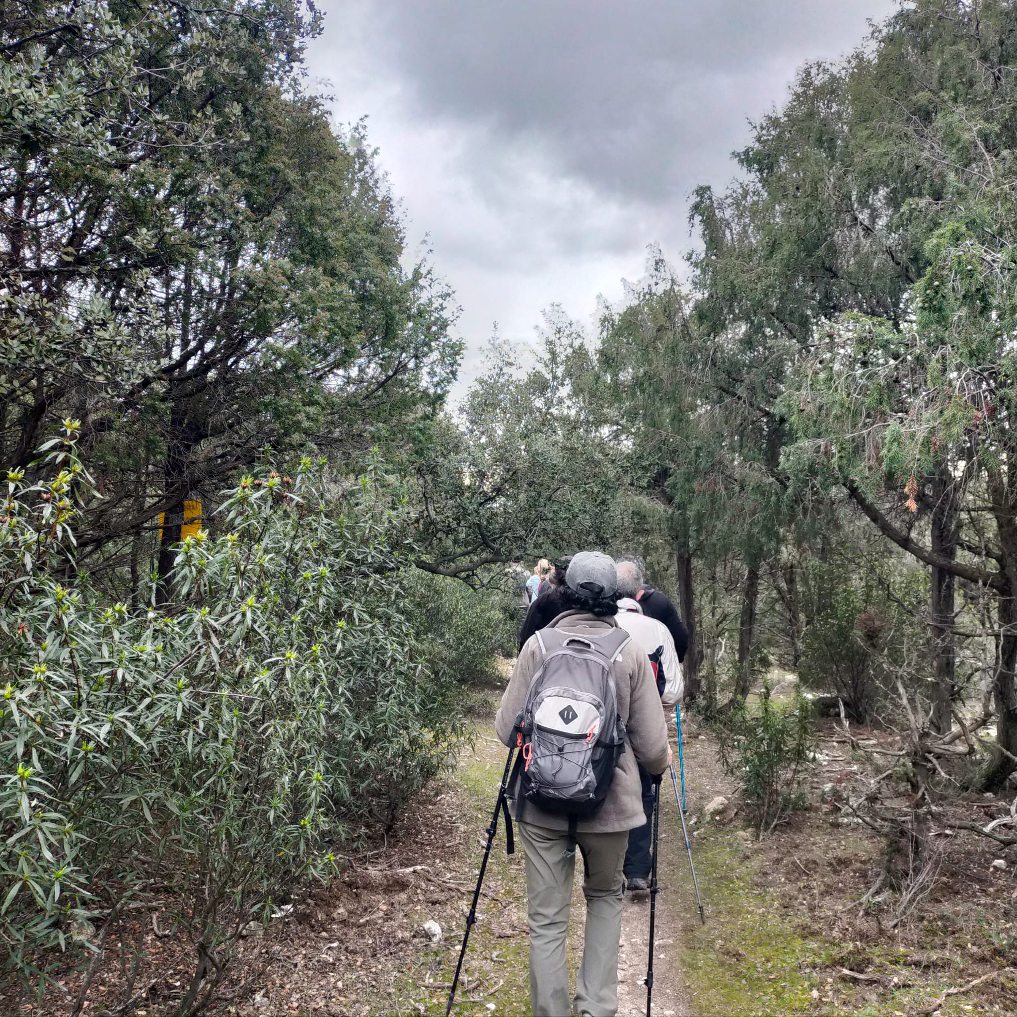 Imagen de ruta