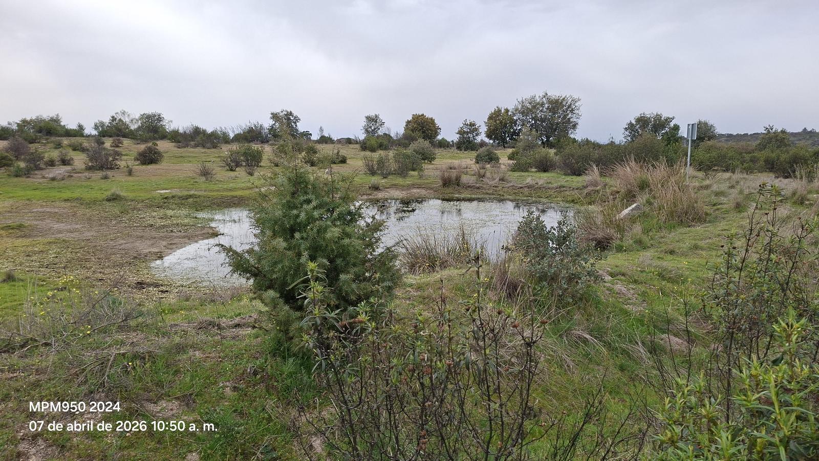 Foto de la ruta
