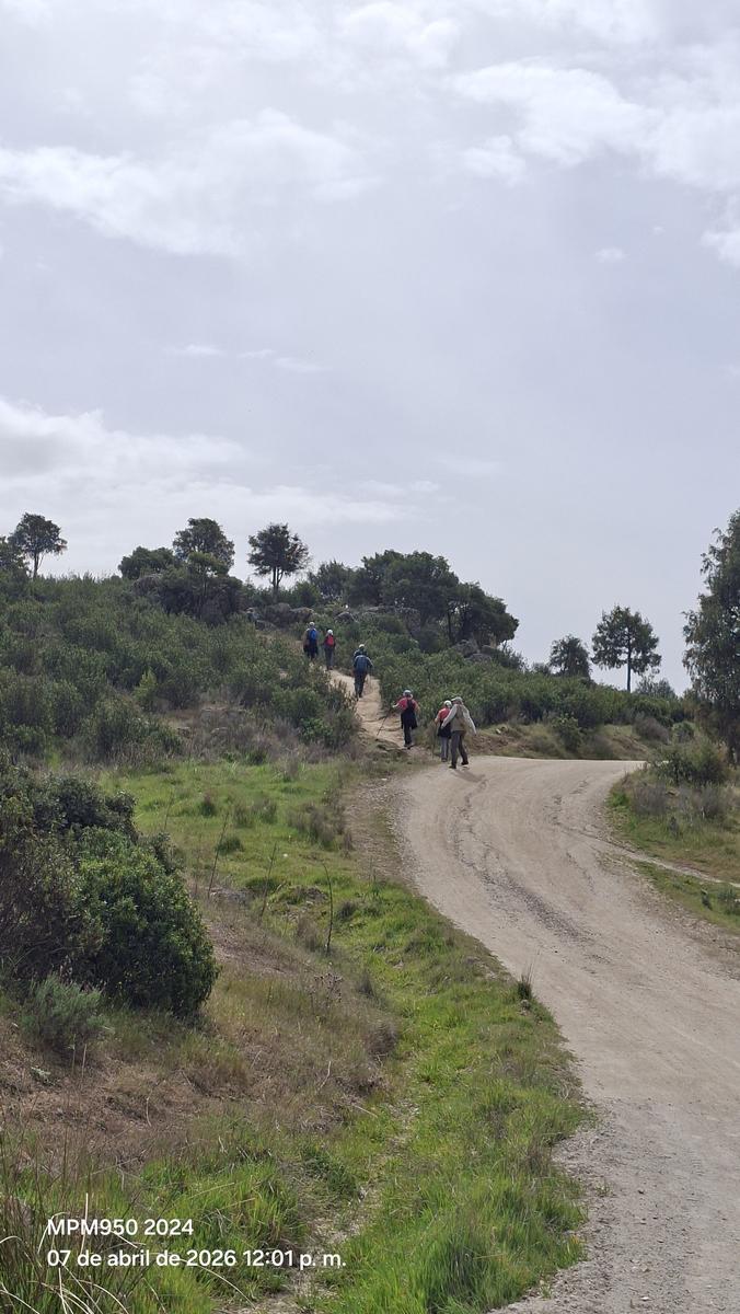 Foto de la ruta