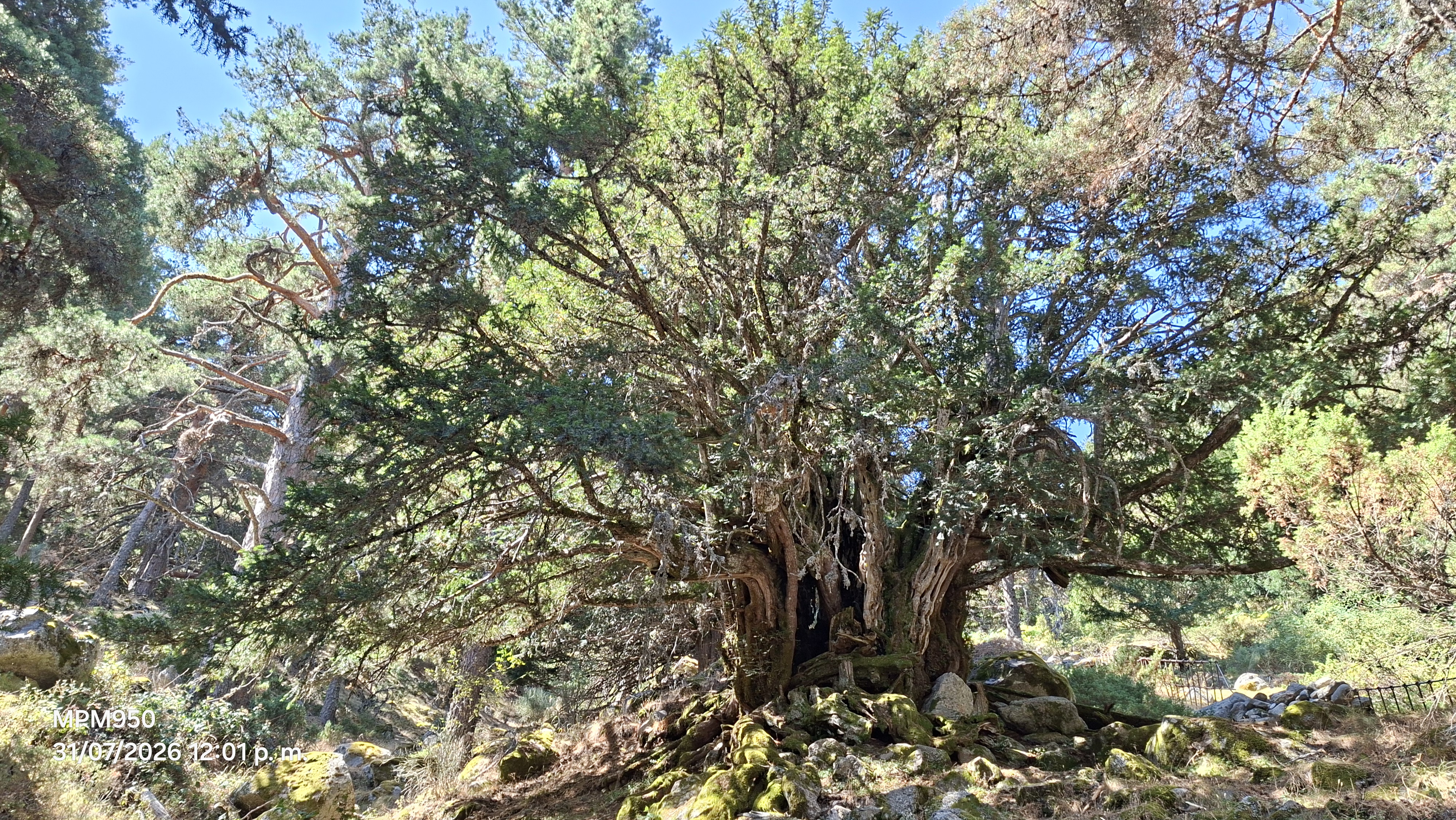Foto de la ruta