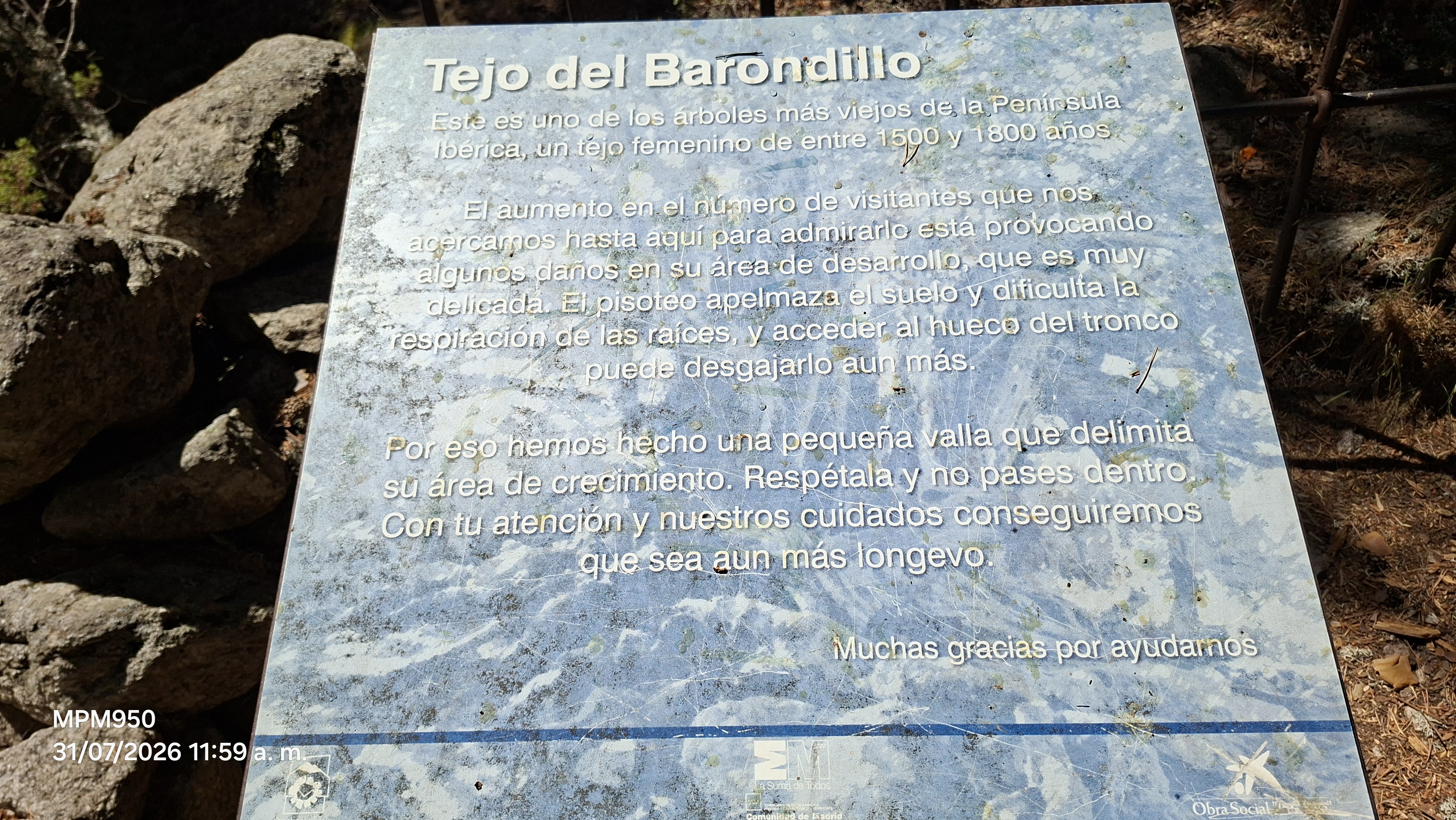 Foto de la ruta