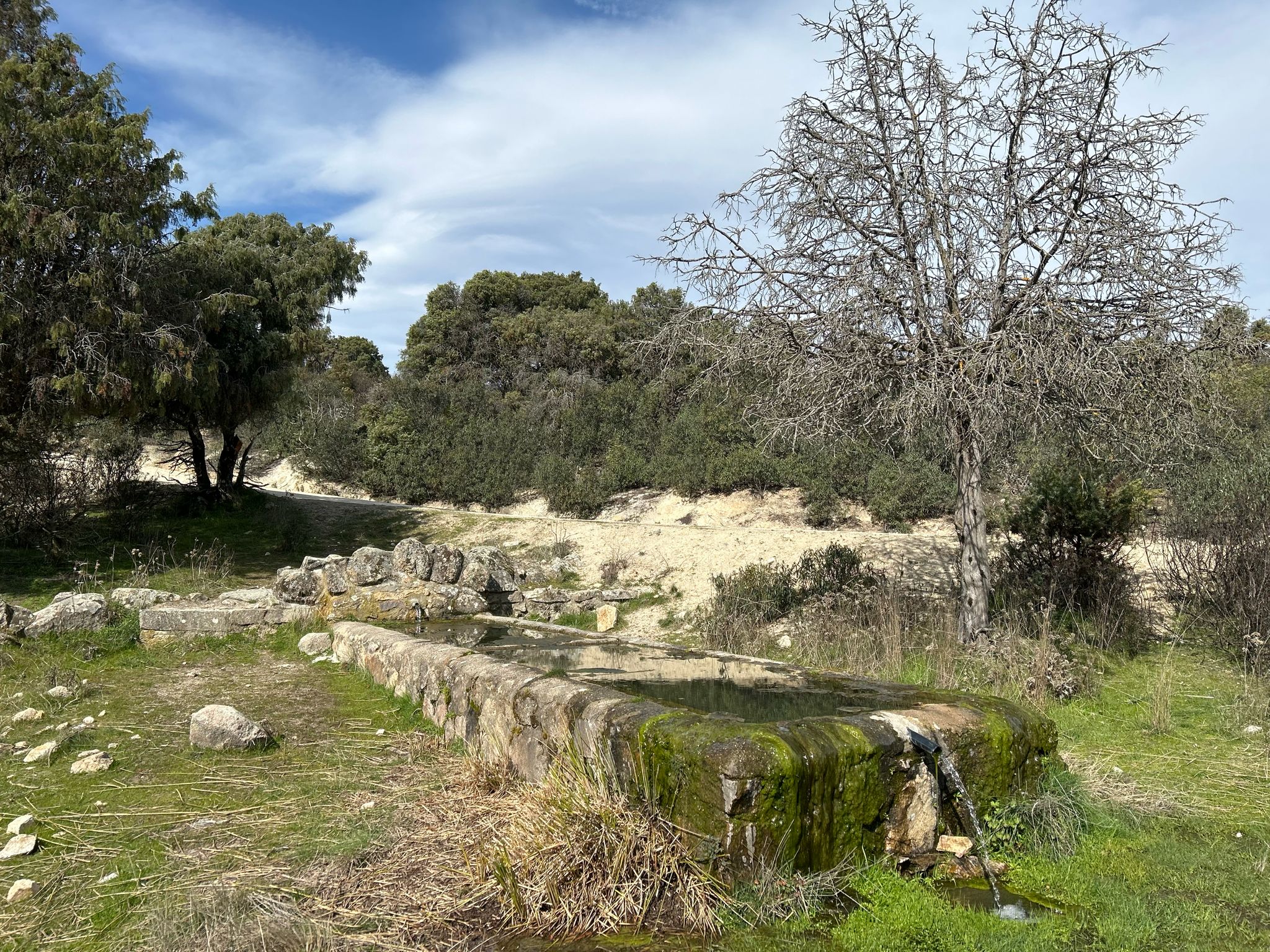 Foto de la ruta