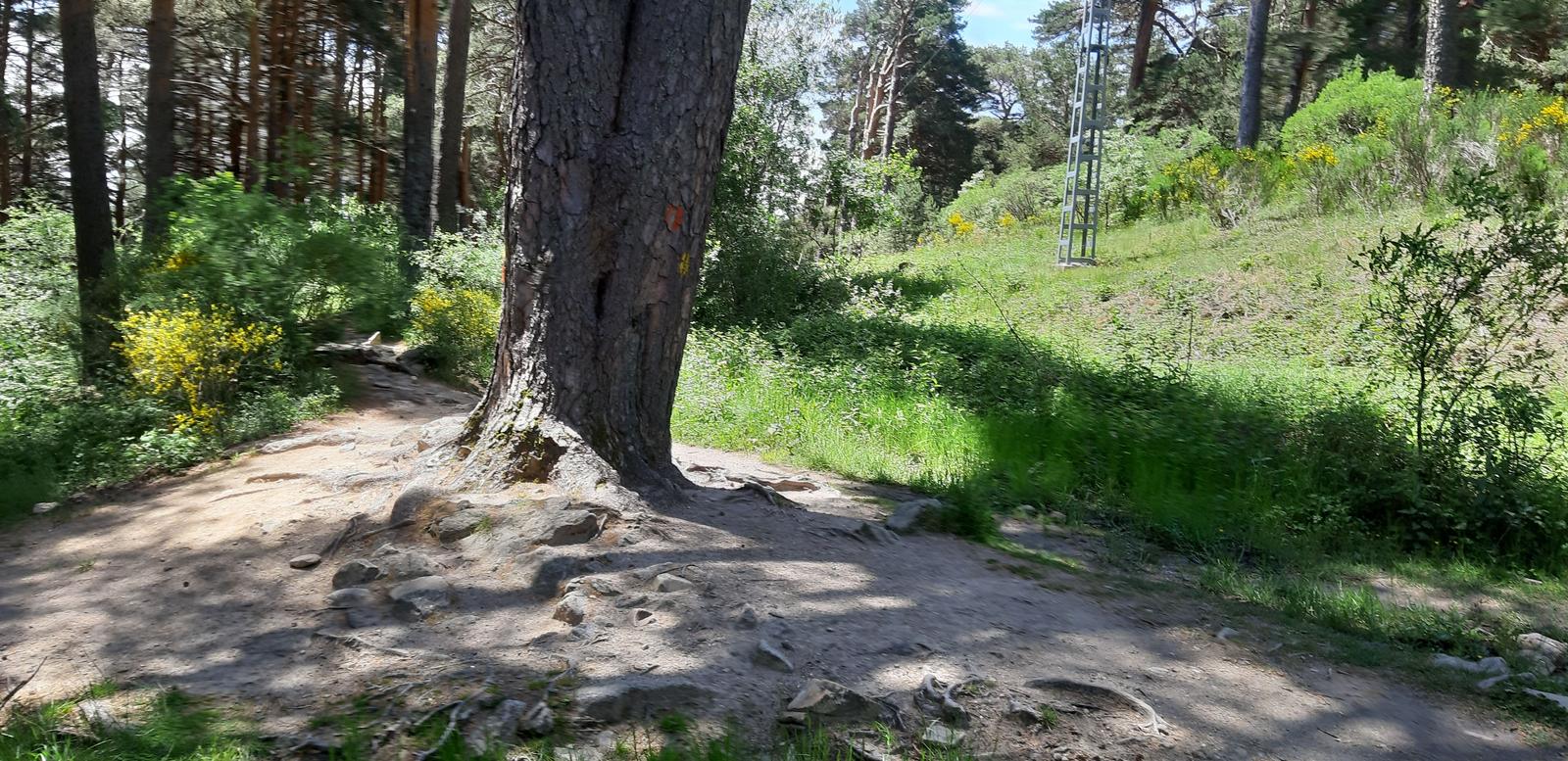 Foto de la ruta