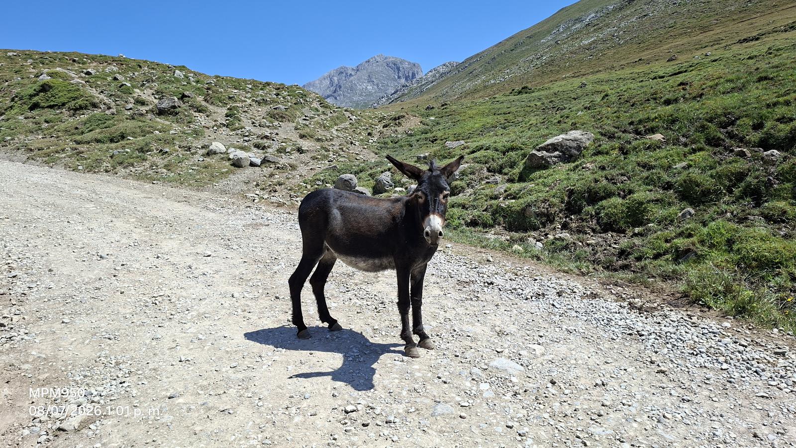 Foto de la ruta