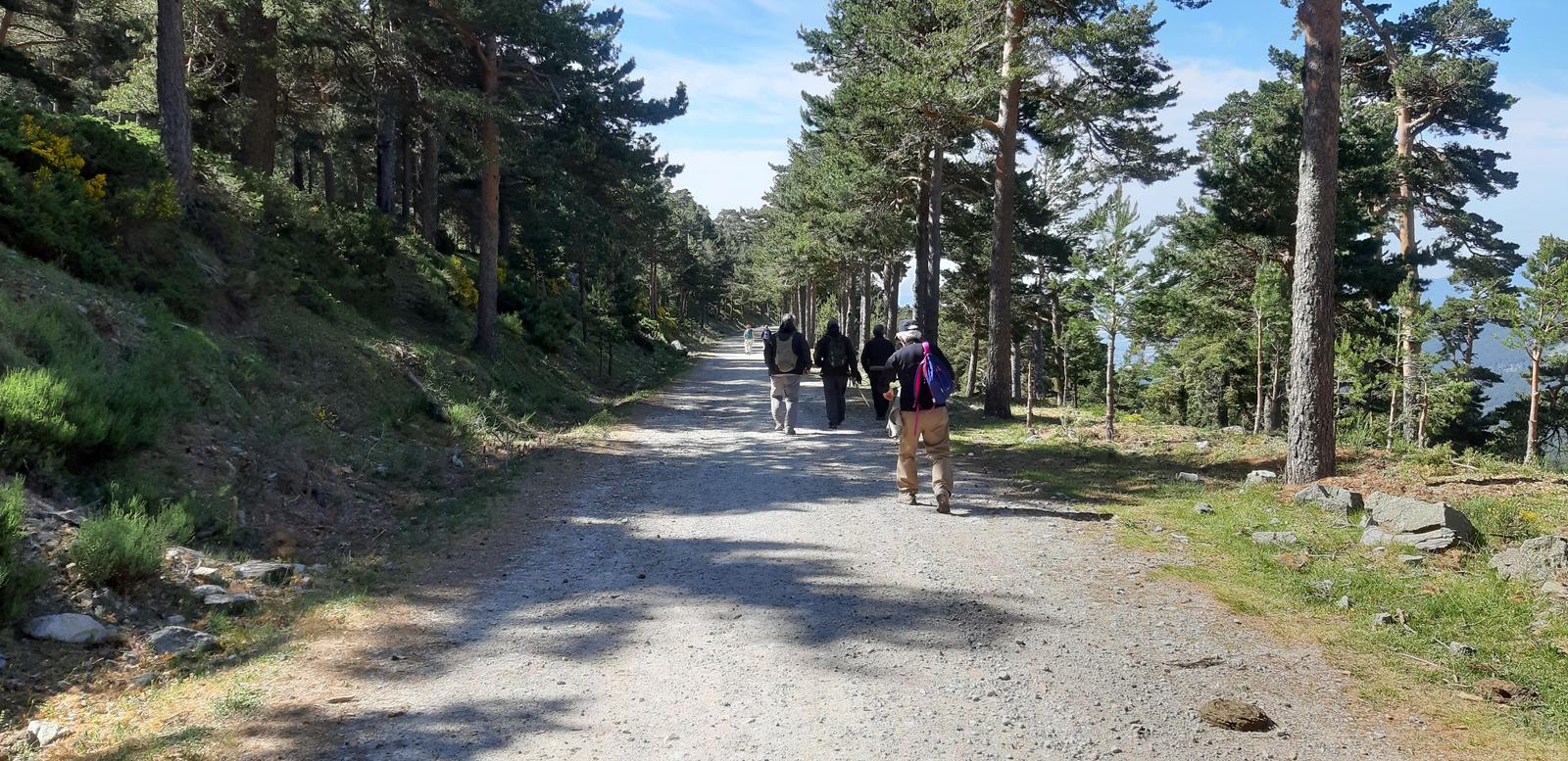 Foto de la ruta