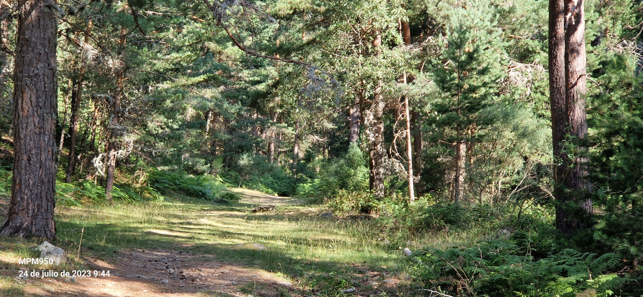 Foto de la ruta