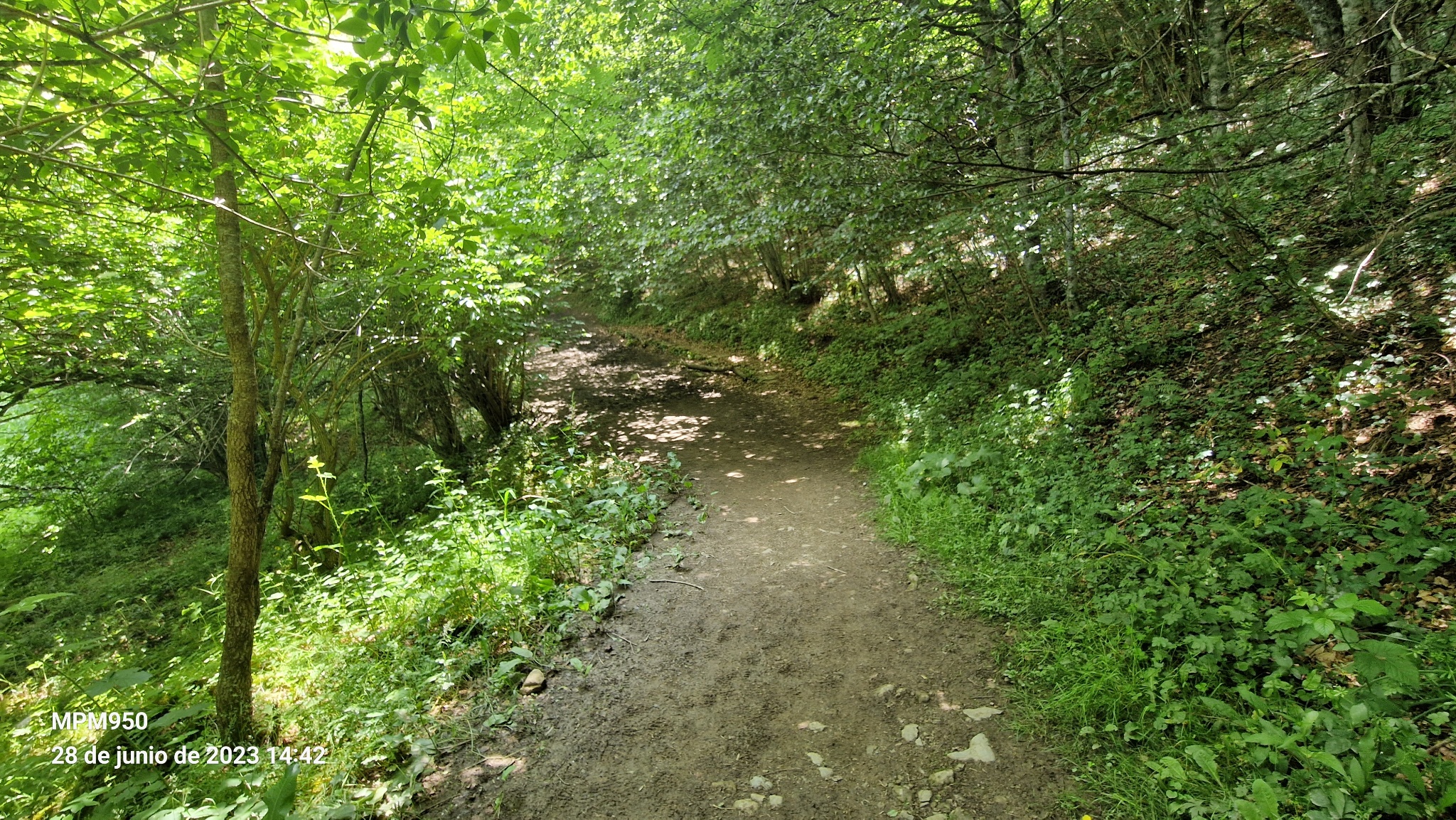 Foto de la ruta