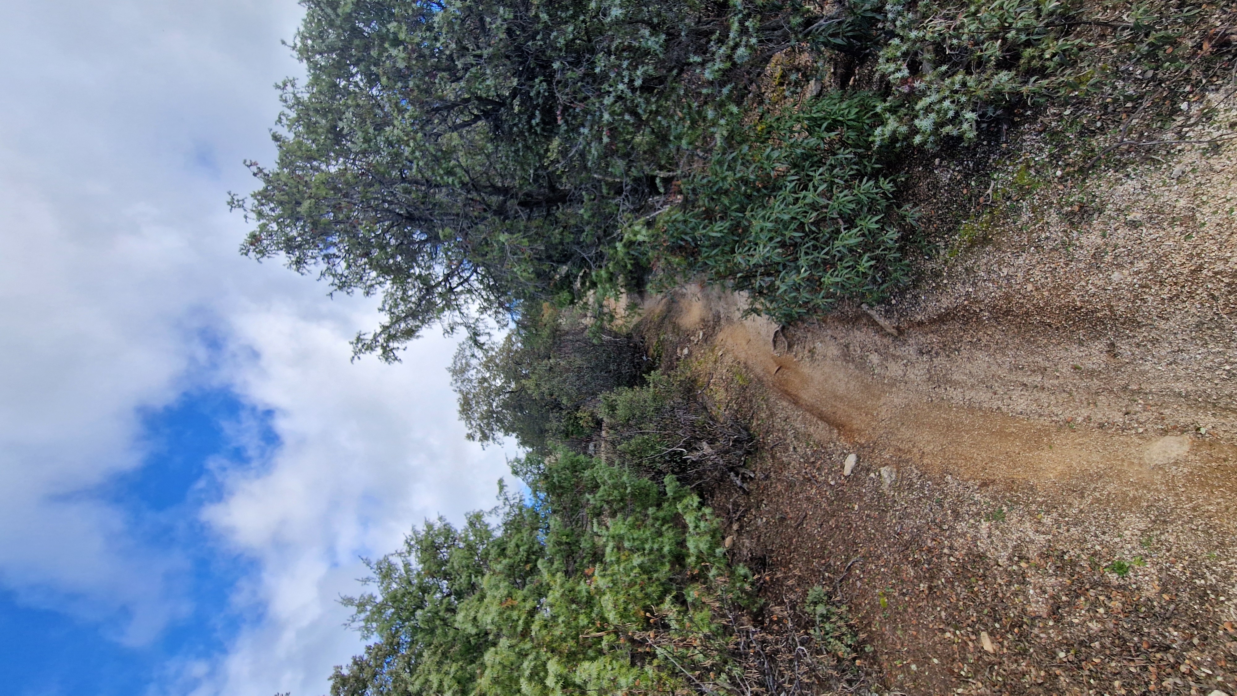 Foto de la ruta