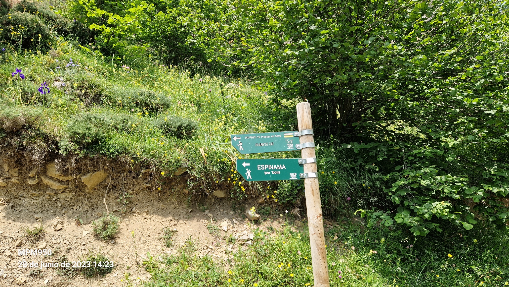 Foto de la ruta