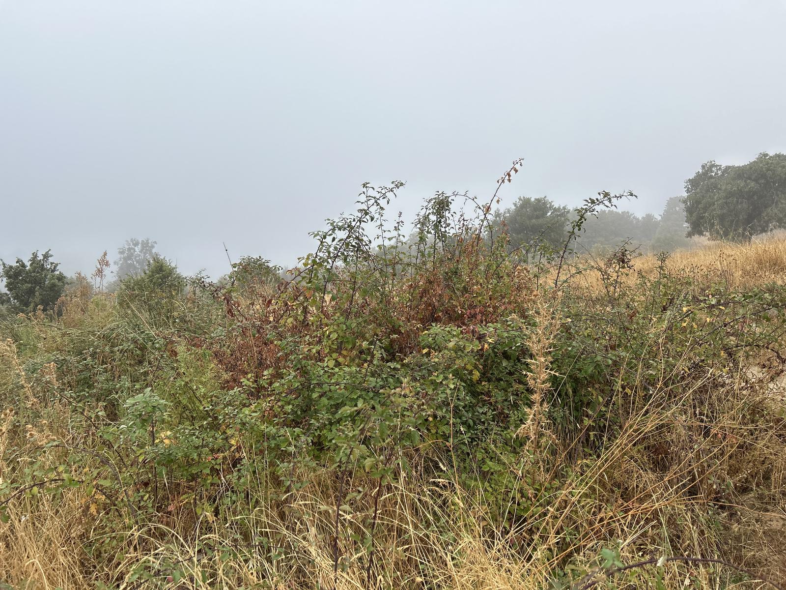 Foto de la ruta