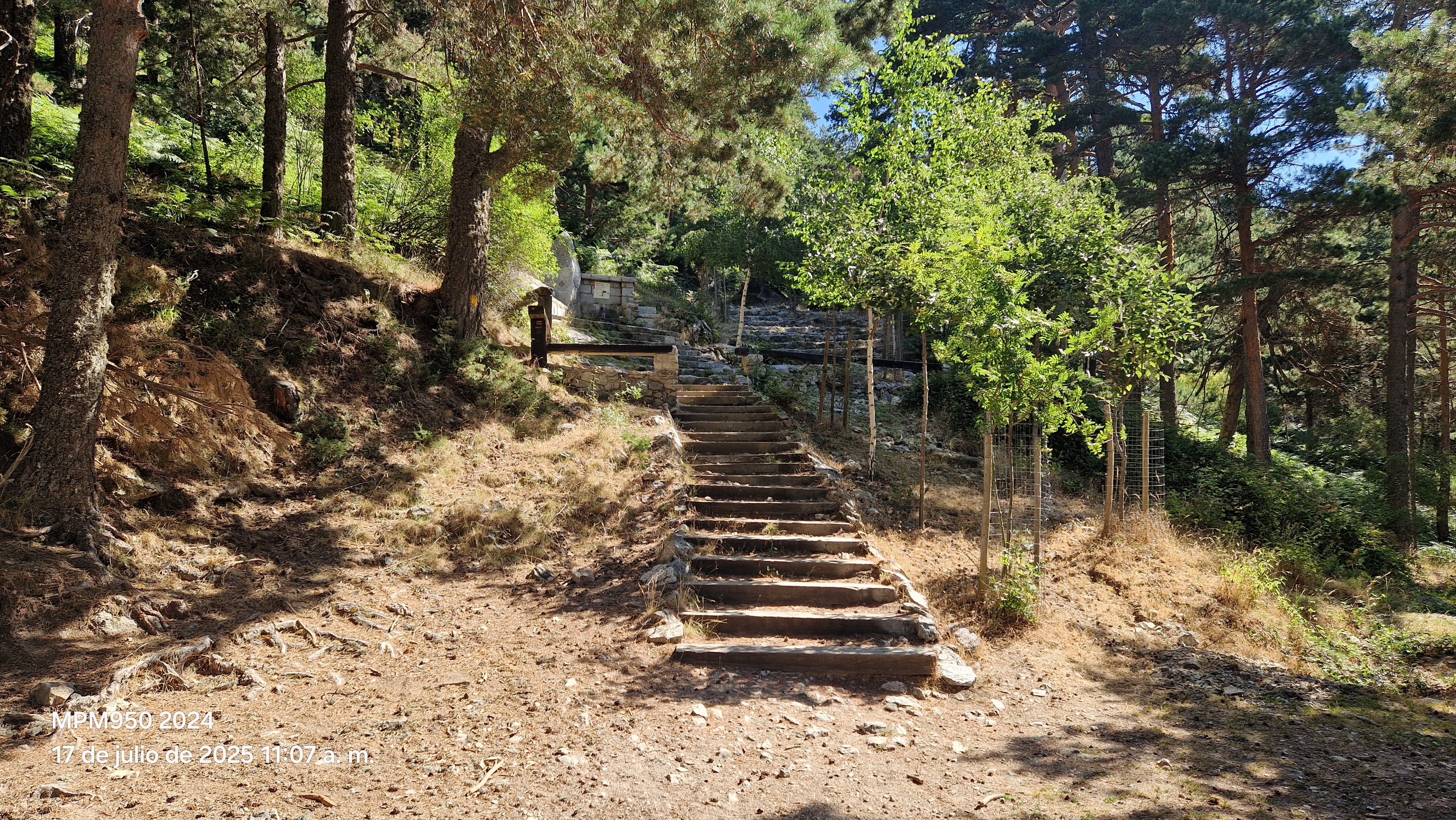 Foto de la ruta