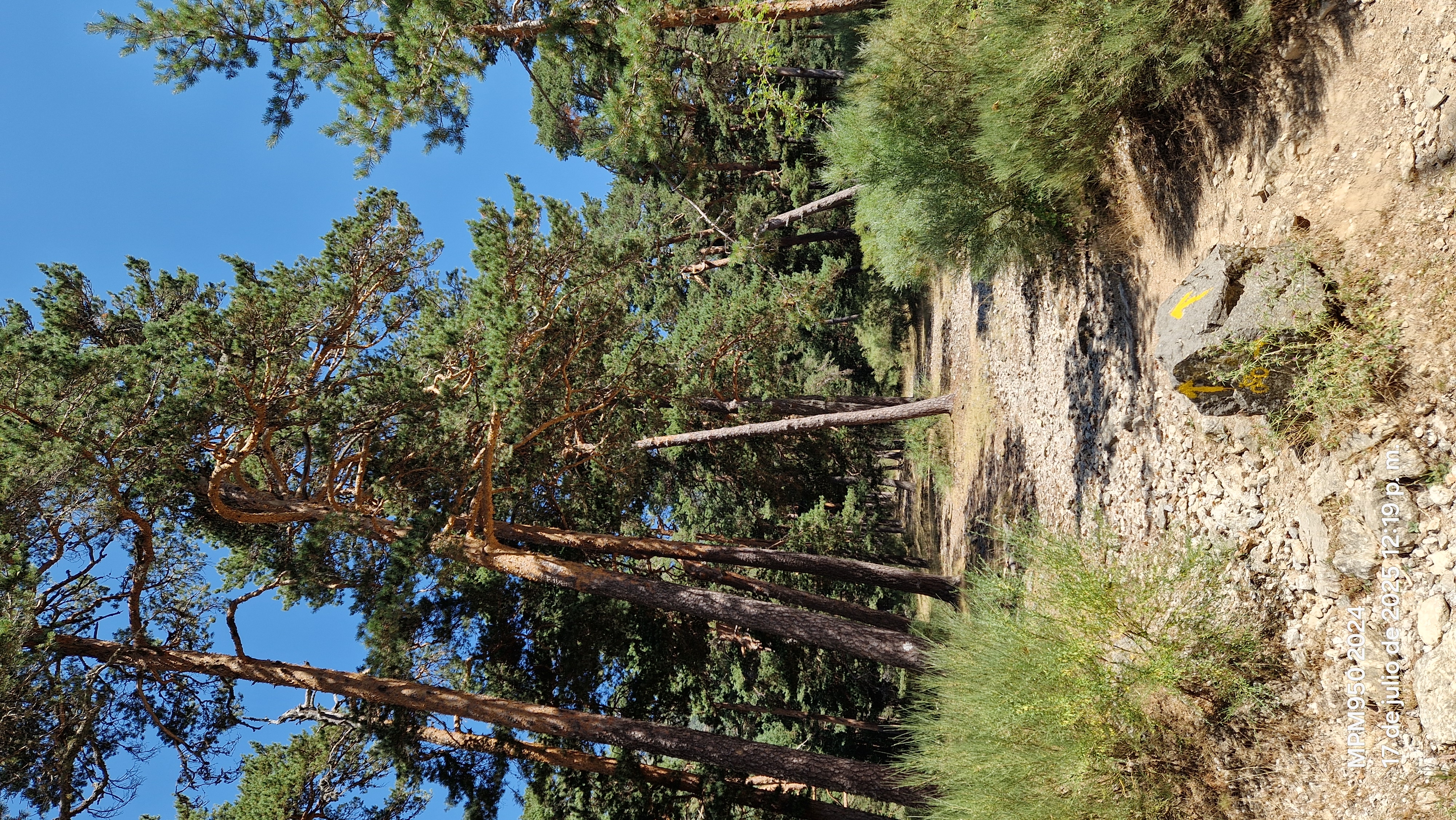 Foto de la ruta