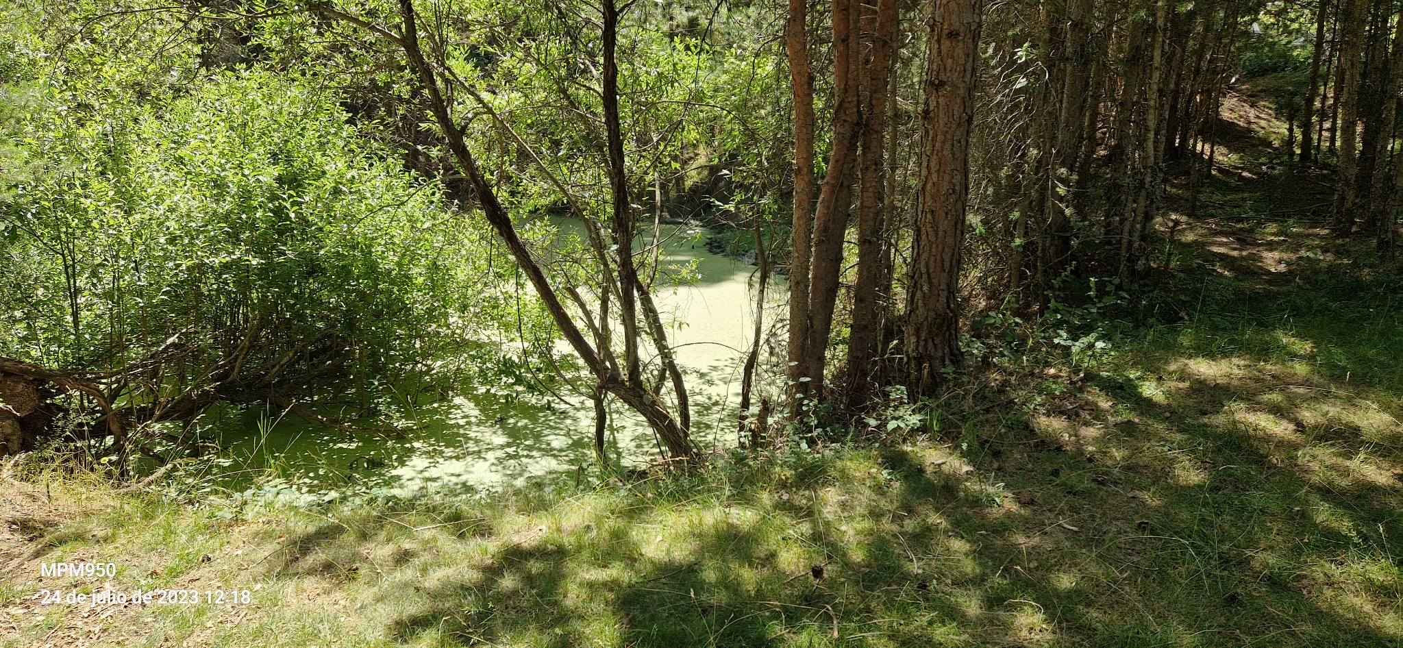 Foto de la ruta