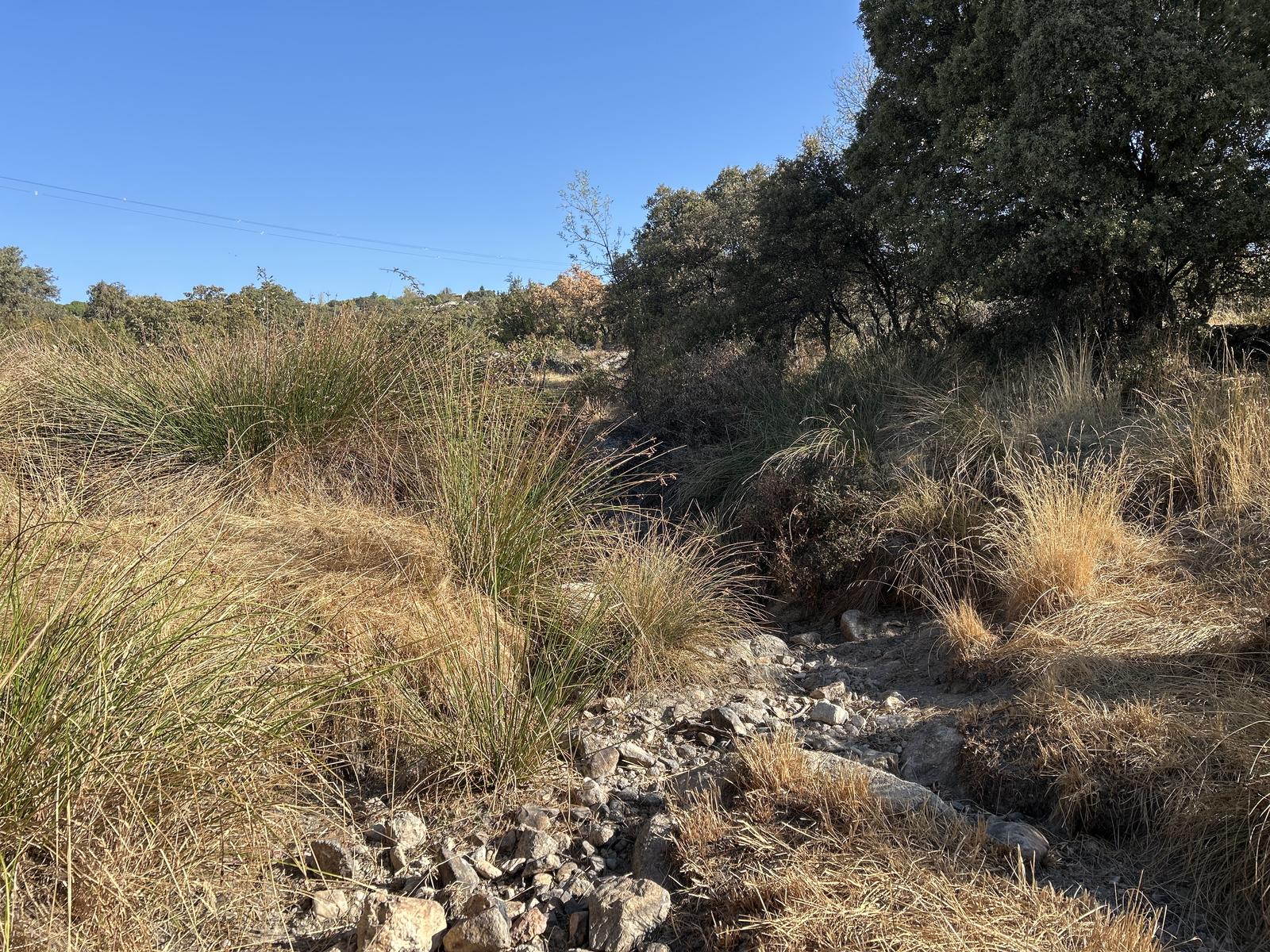 Foto de la ruta
