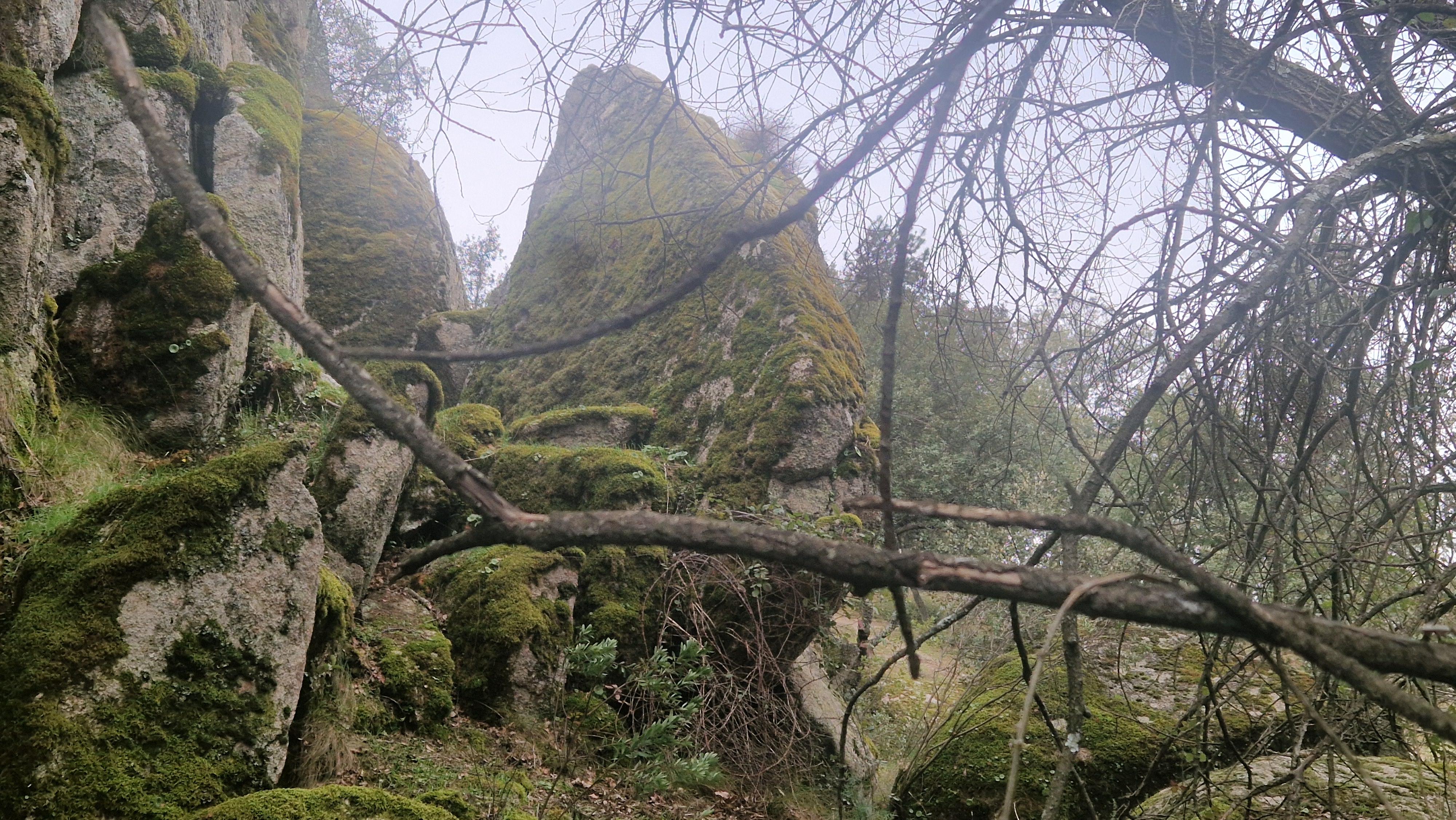 Imagen de ruta