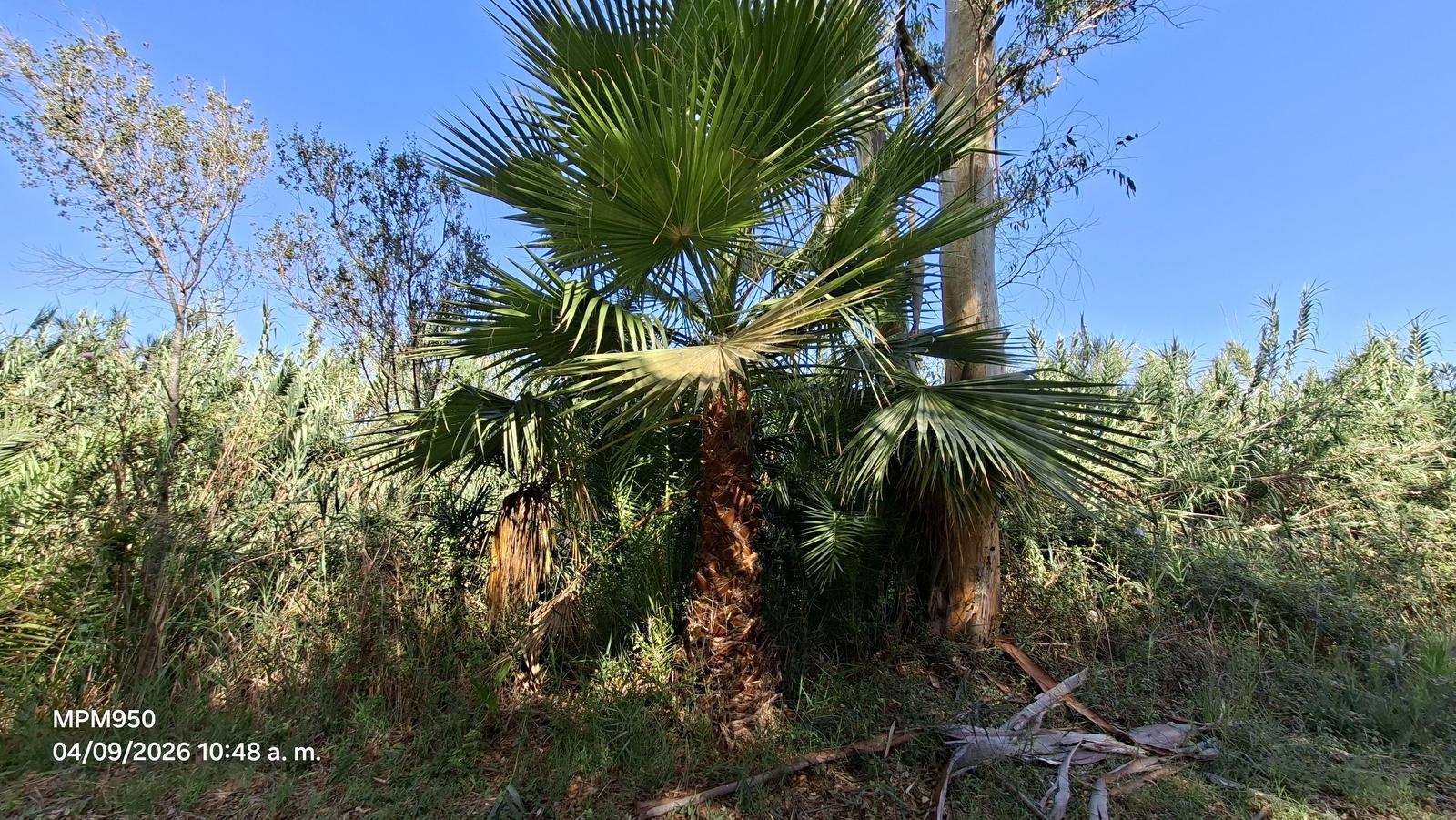 Foto de la ruta