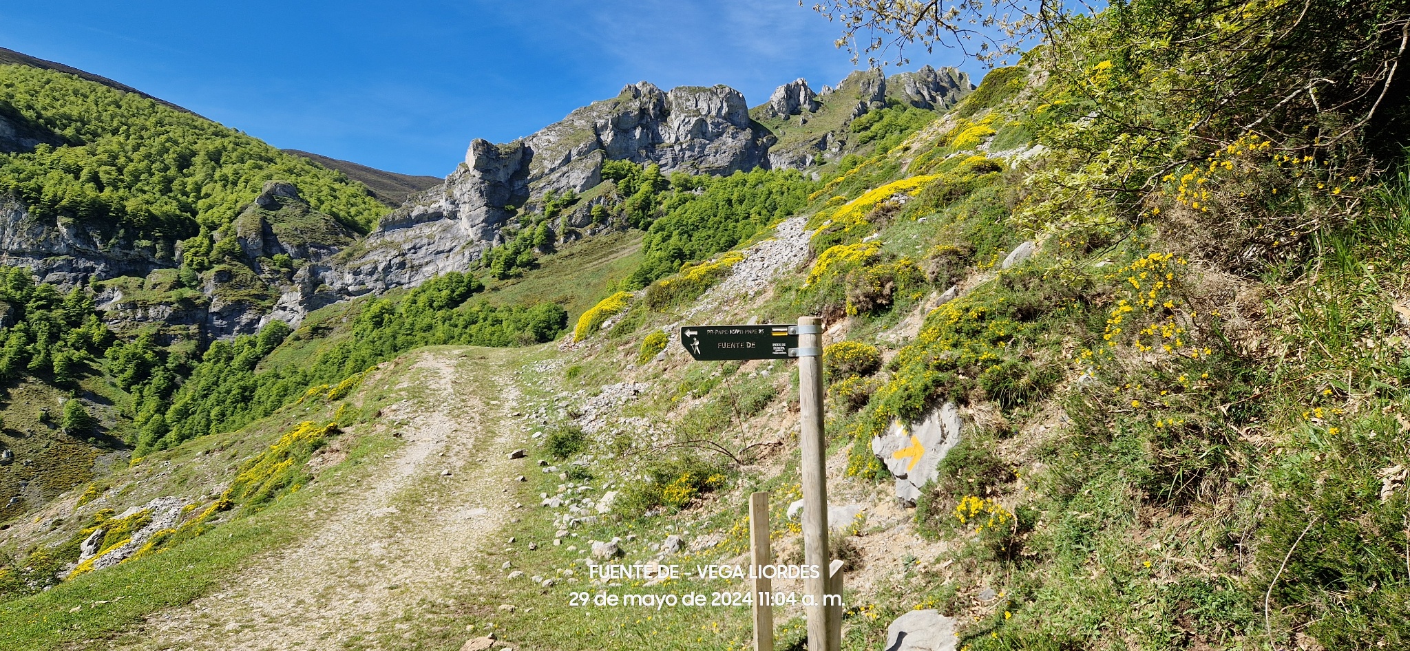 Foto de la ruta