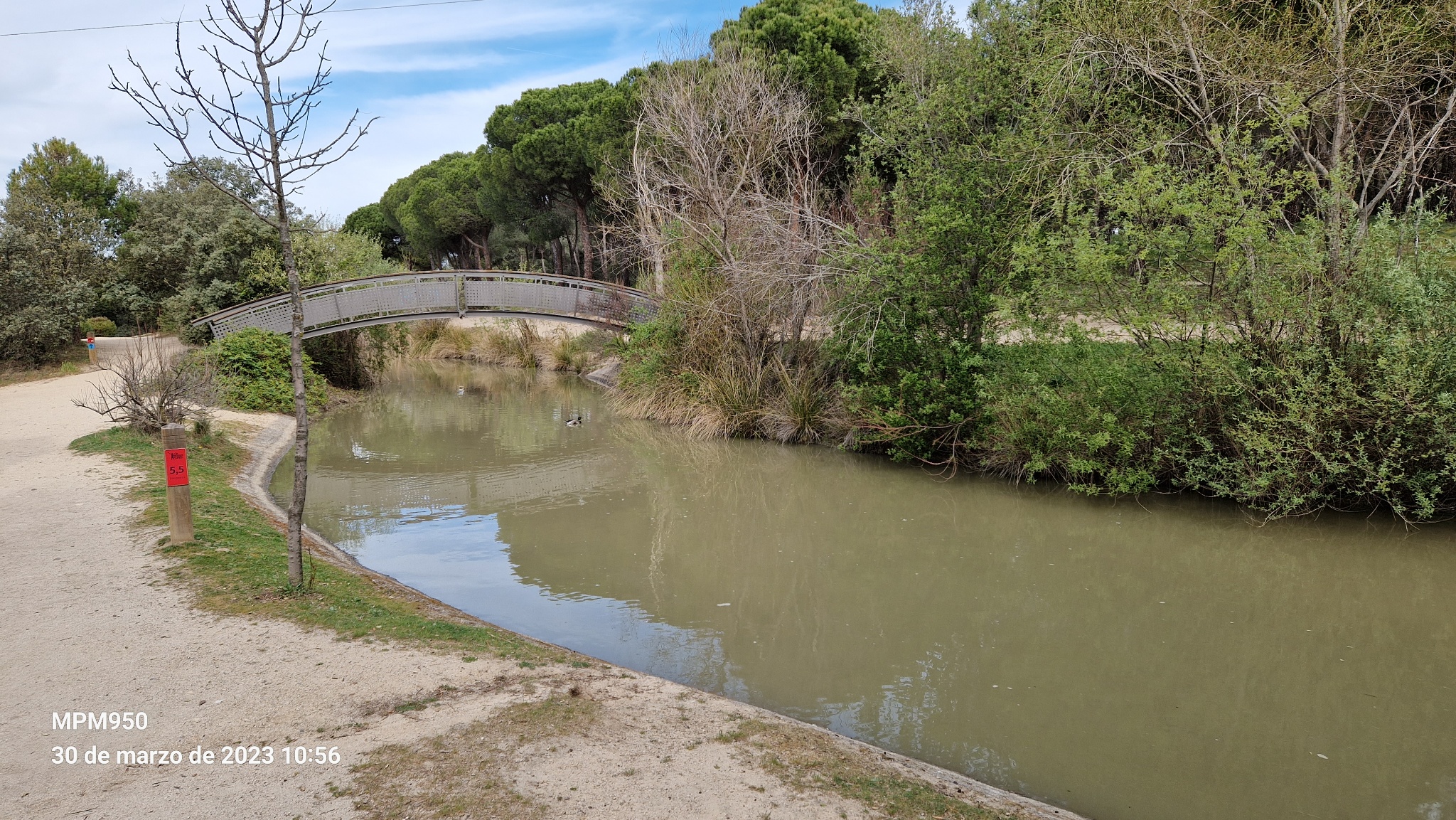Foto de la ruta