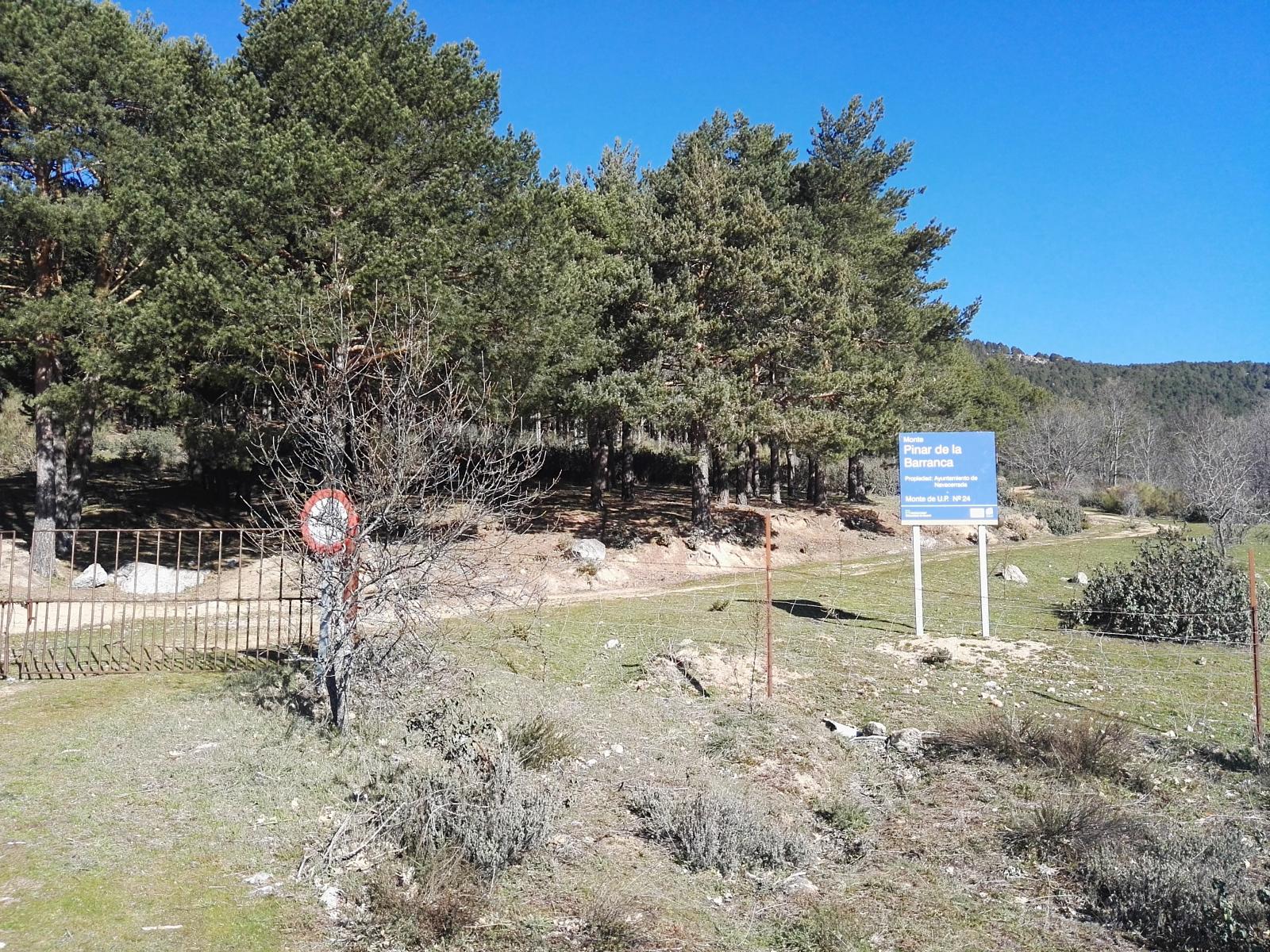 Foto de la ruta