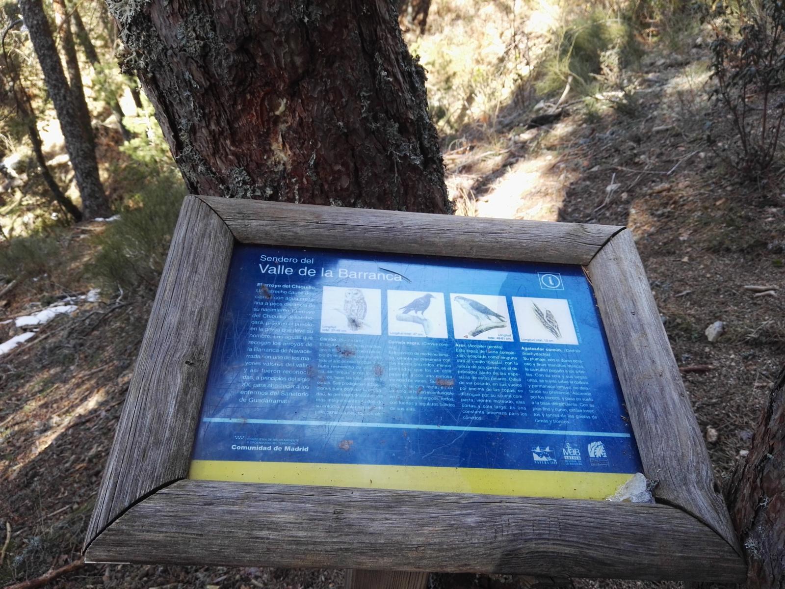 Foto de la ruta