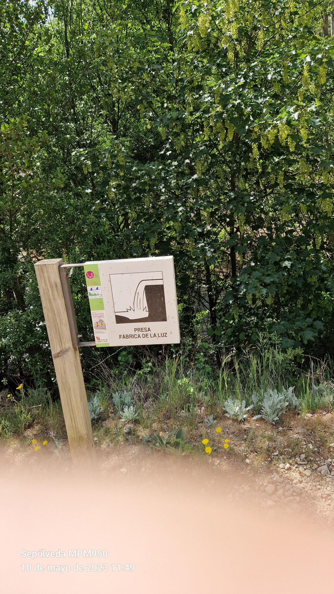 Foto de la ruta