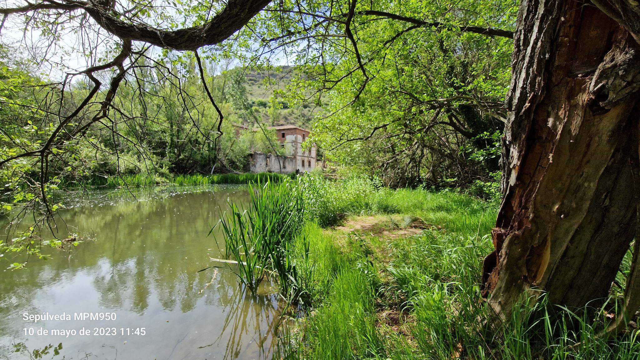 Foto de la ruta