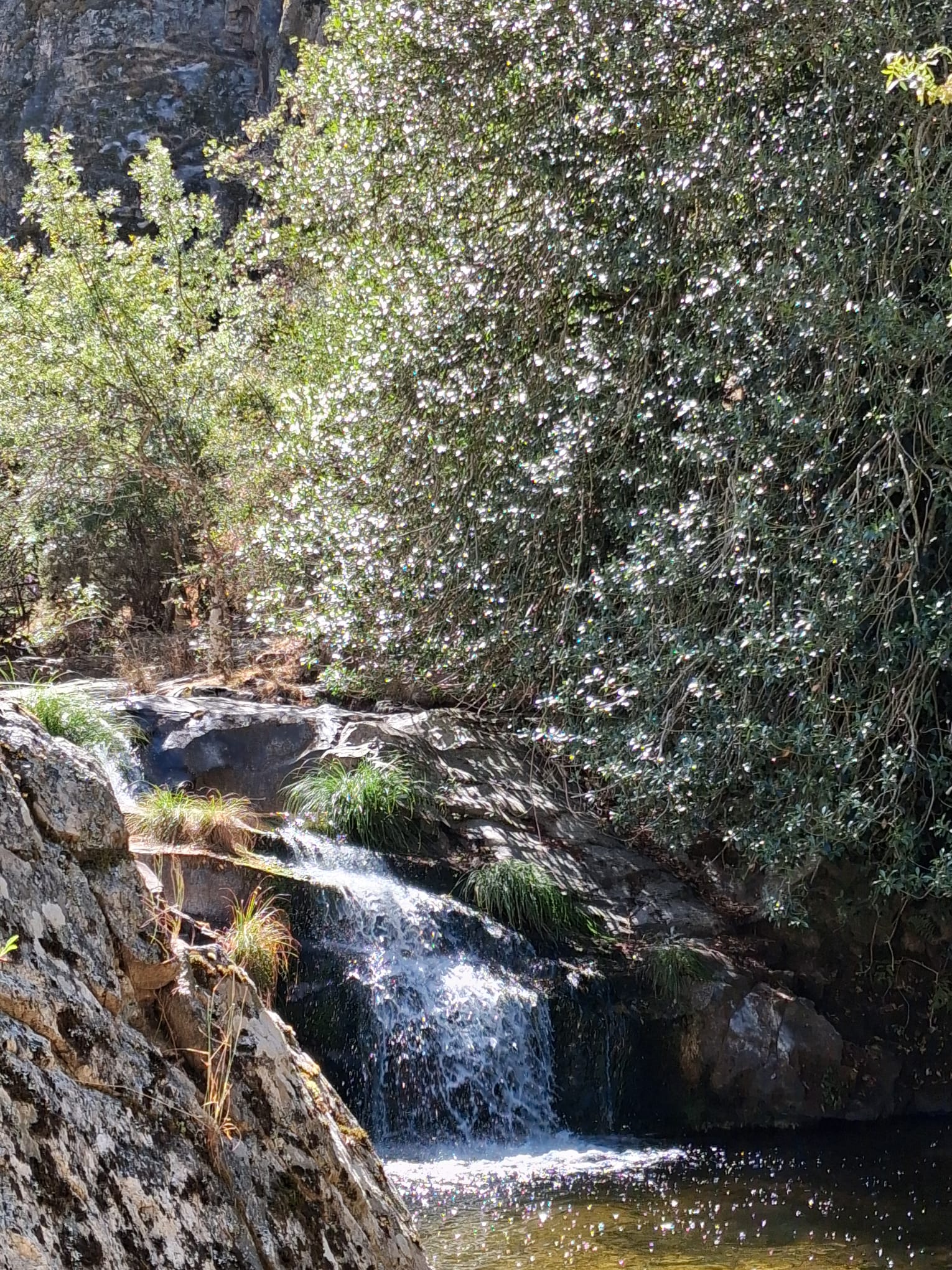 Foto de la ruta